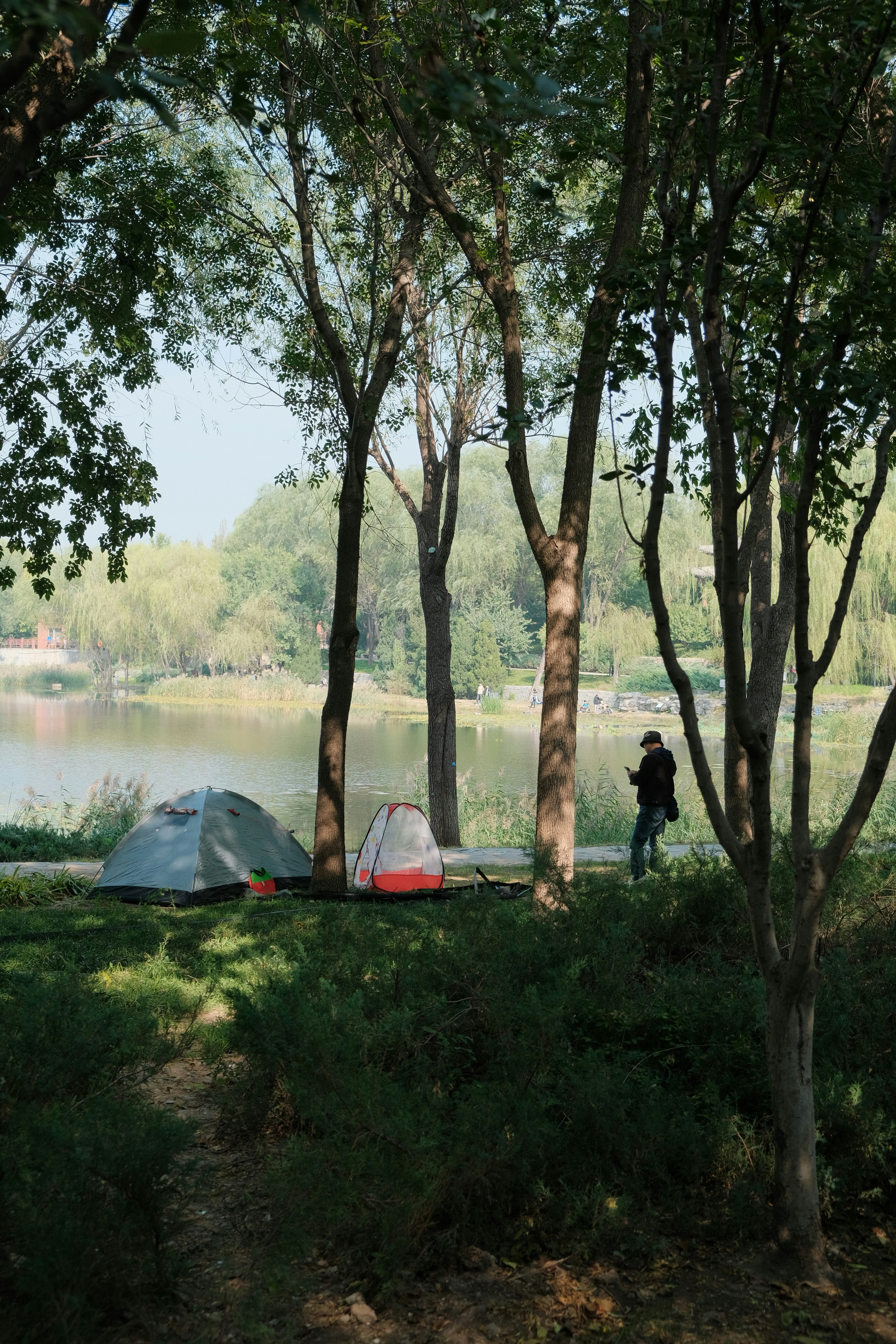 A tent set up in the woods next to a lake photo – Free Outdoors Image ...