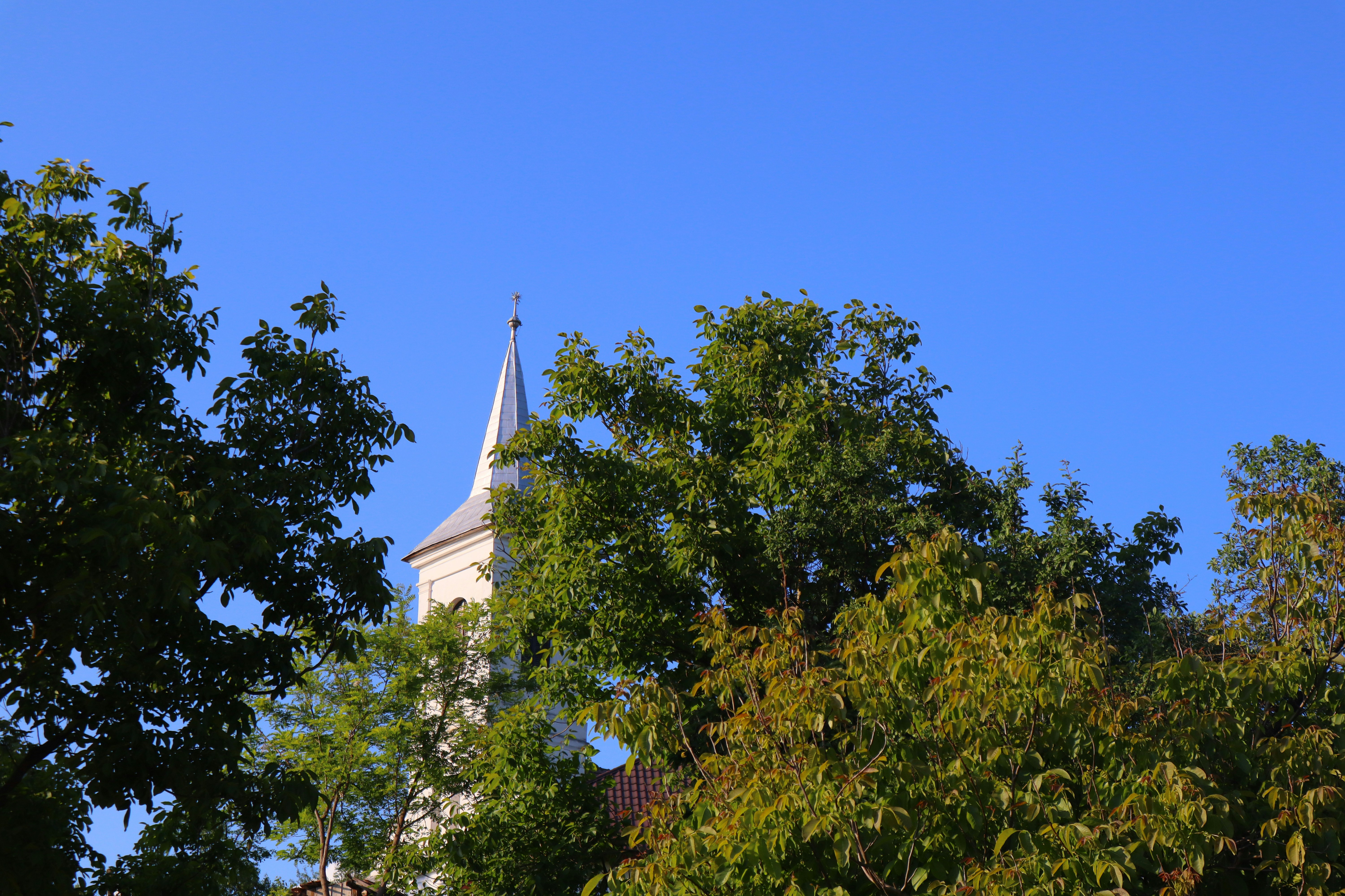 Photo by zoltanbiro1988