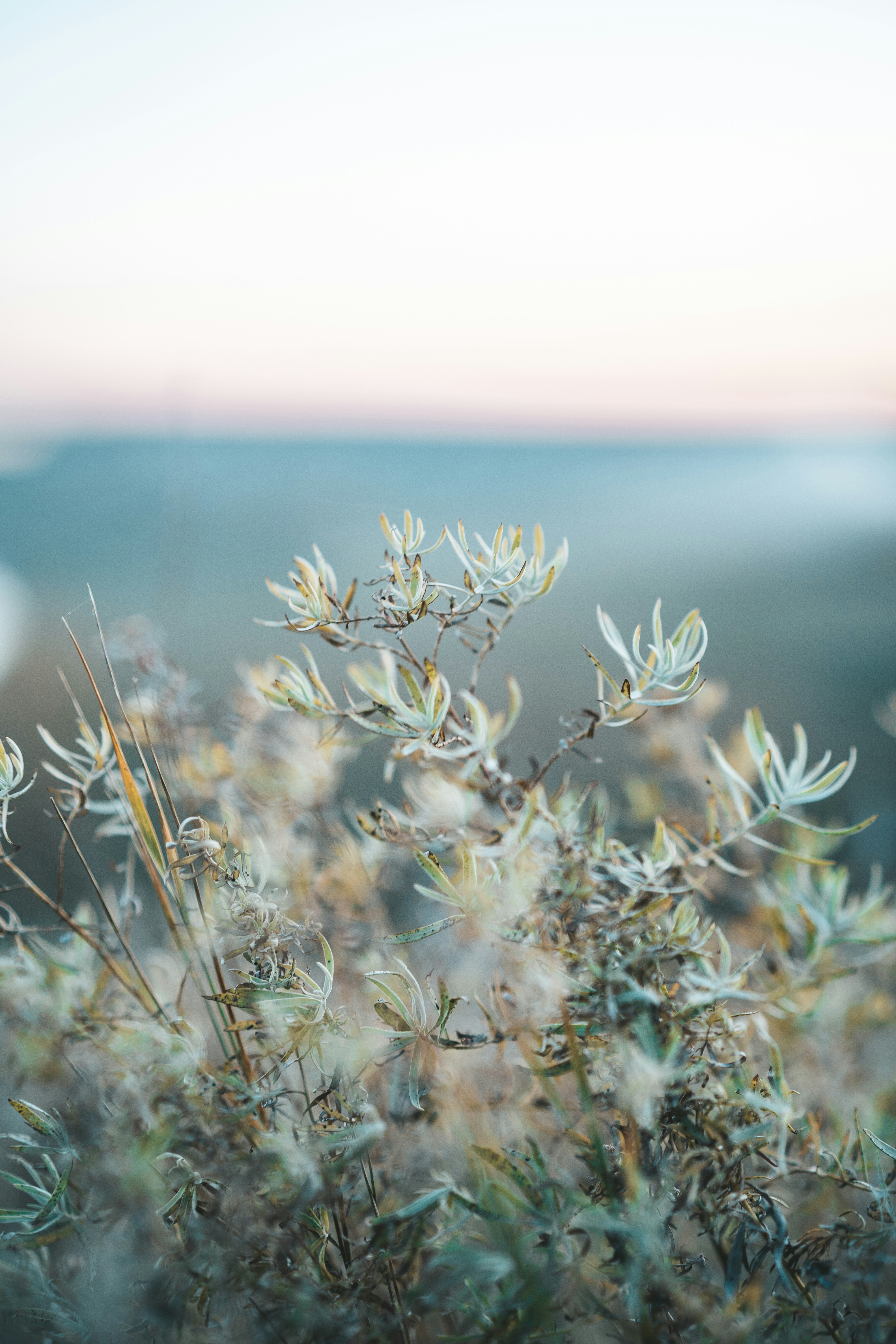 Photo by anamnesis33