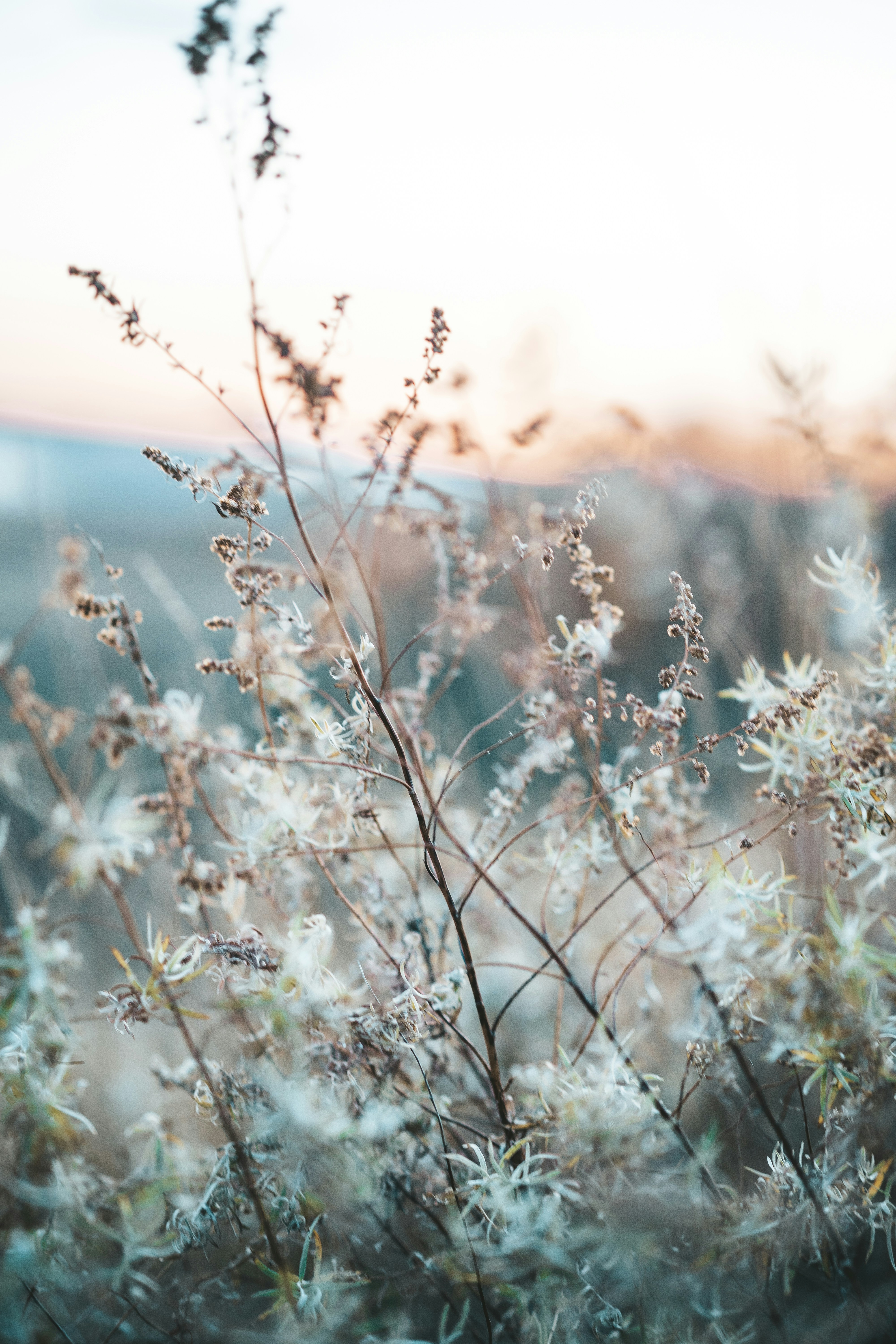 Photo by anamnesis33