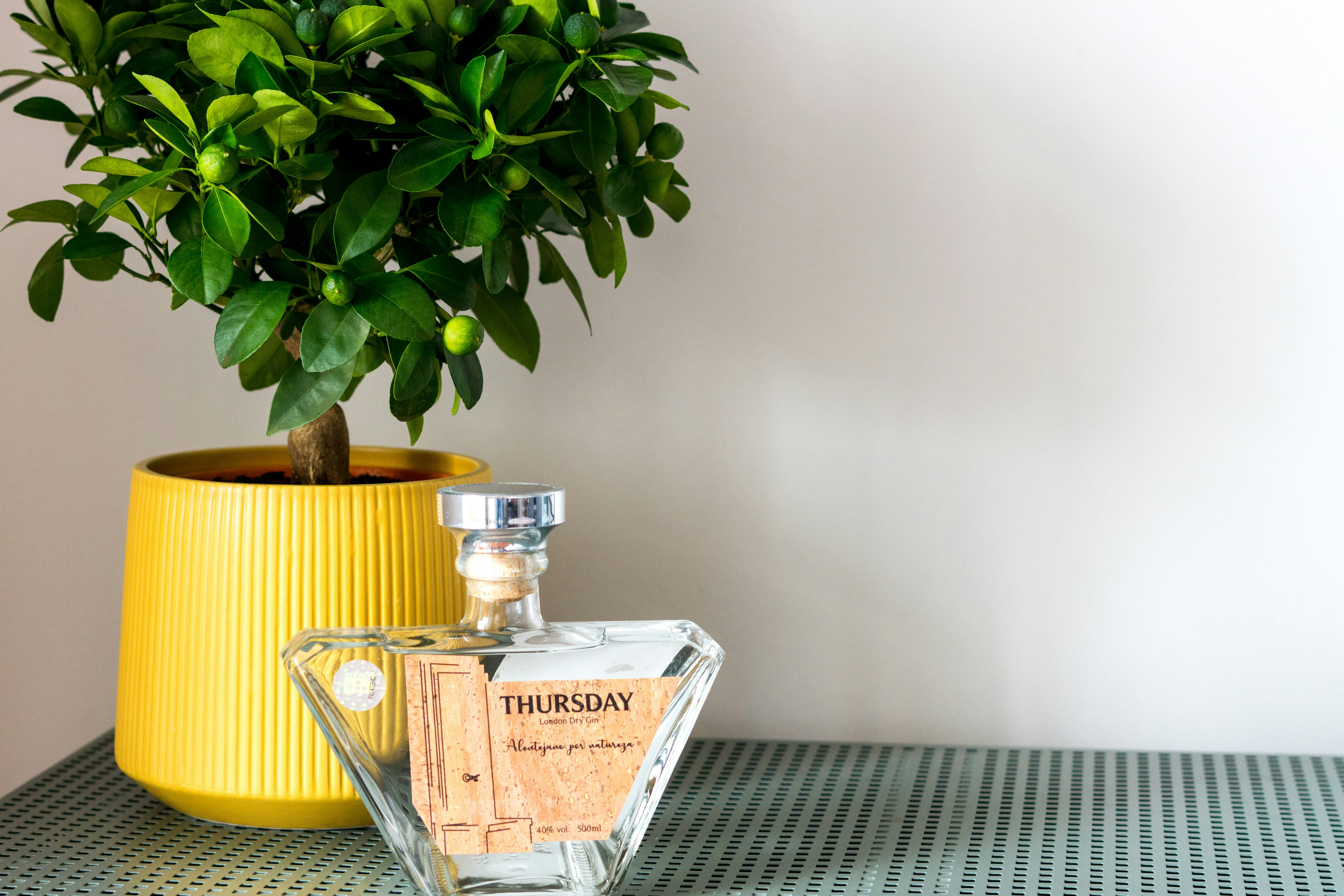 Photo by antonioaaaraujo