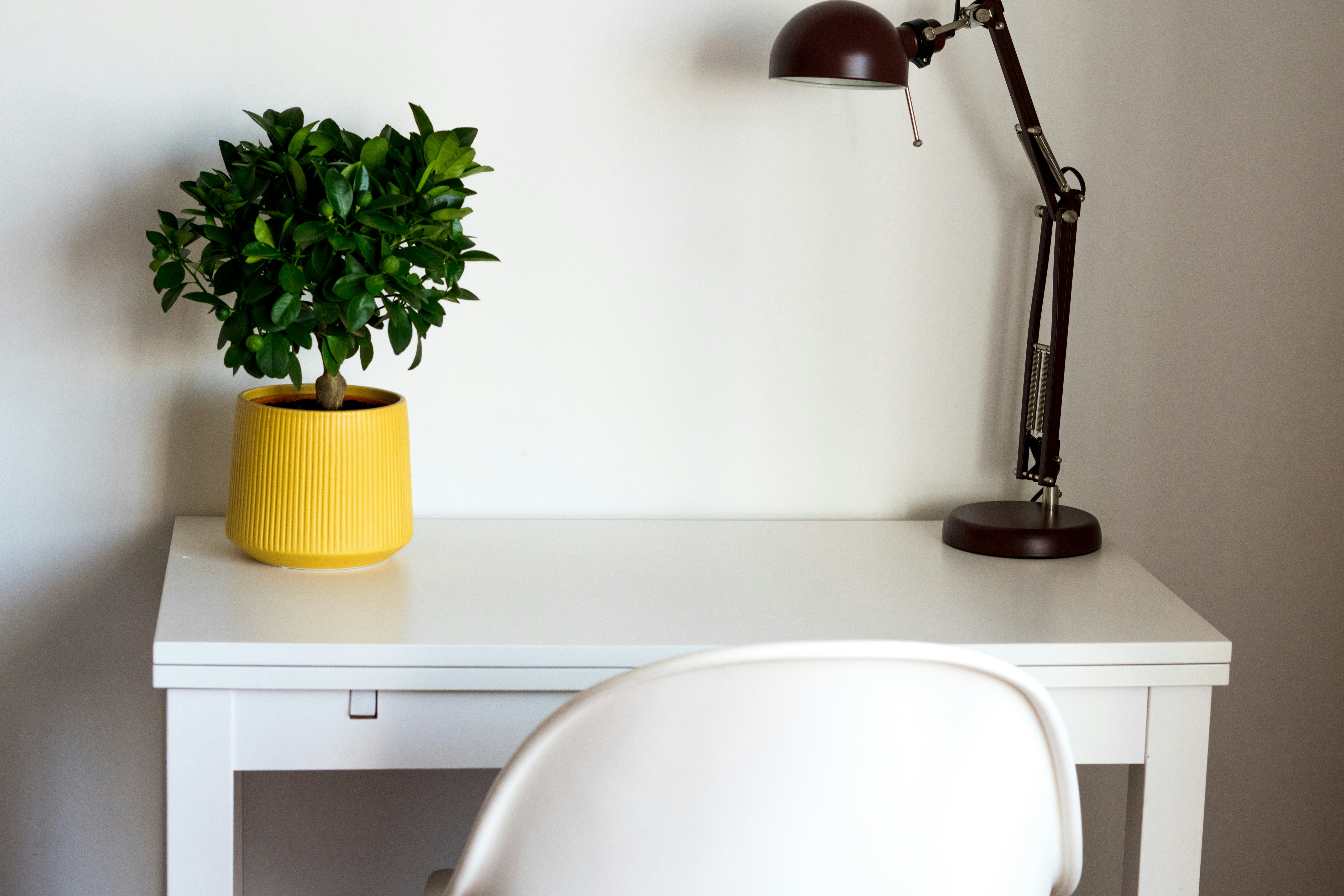 Photo by antonioaaaraujo