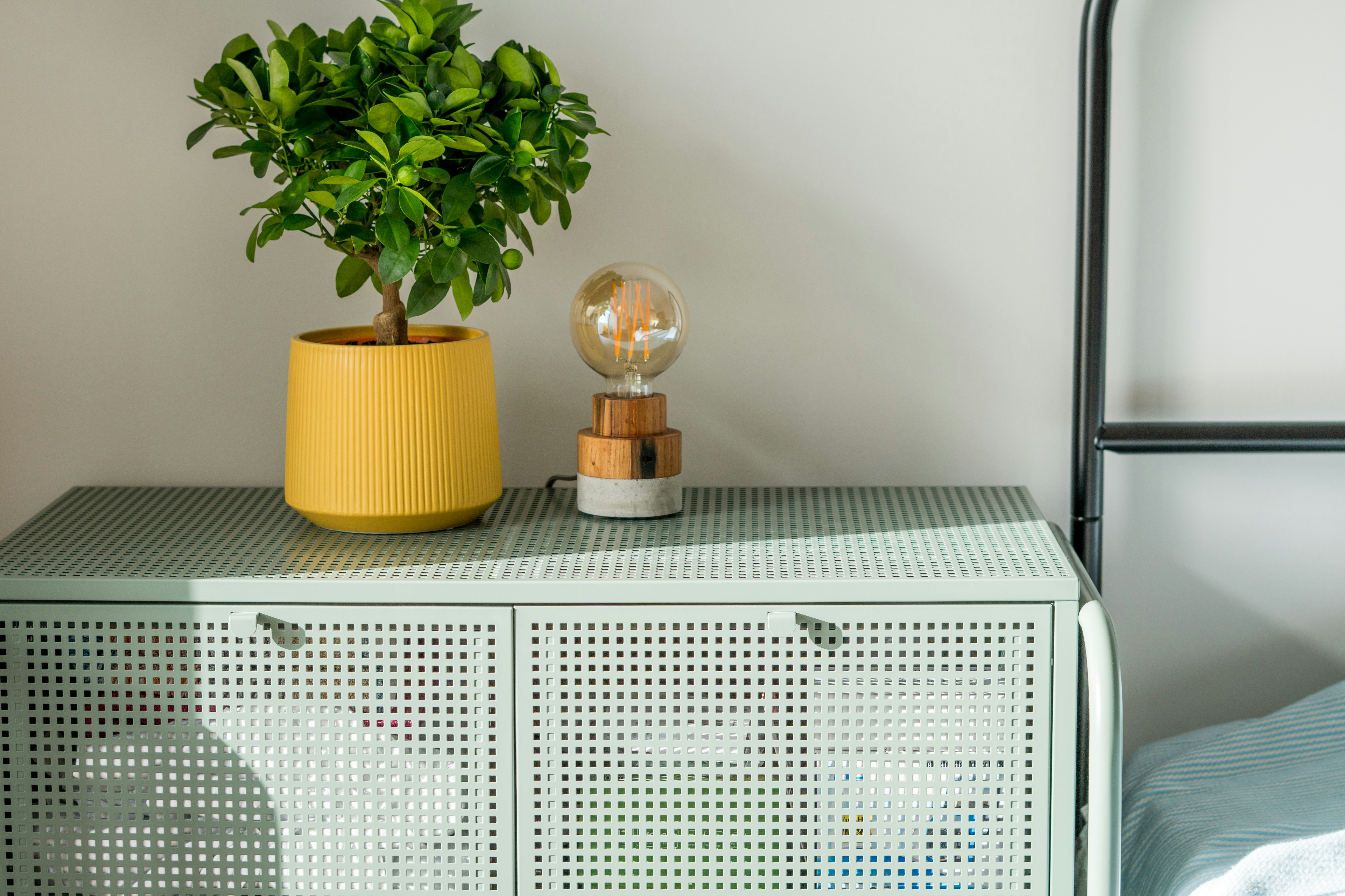 Photo by antonioaaaraujo