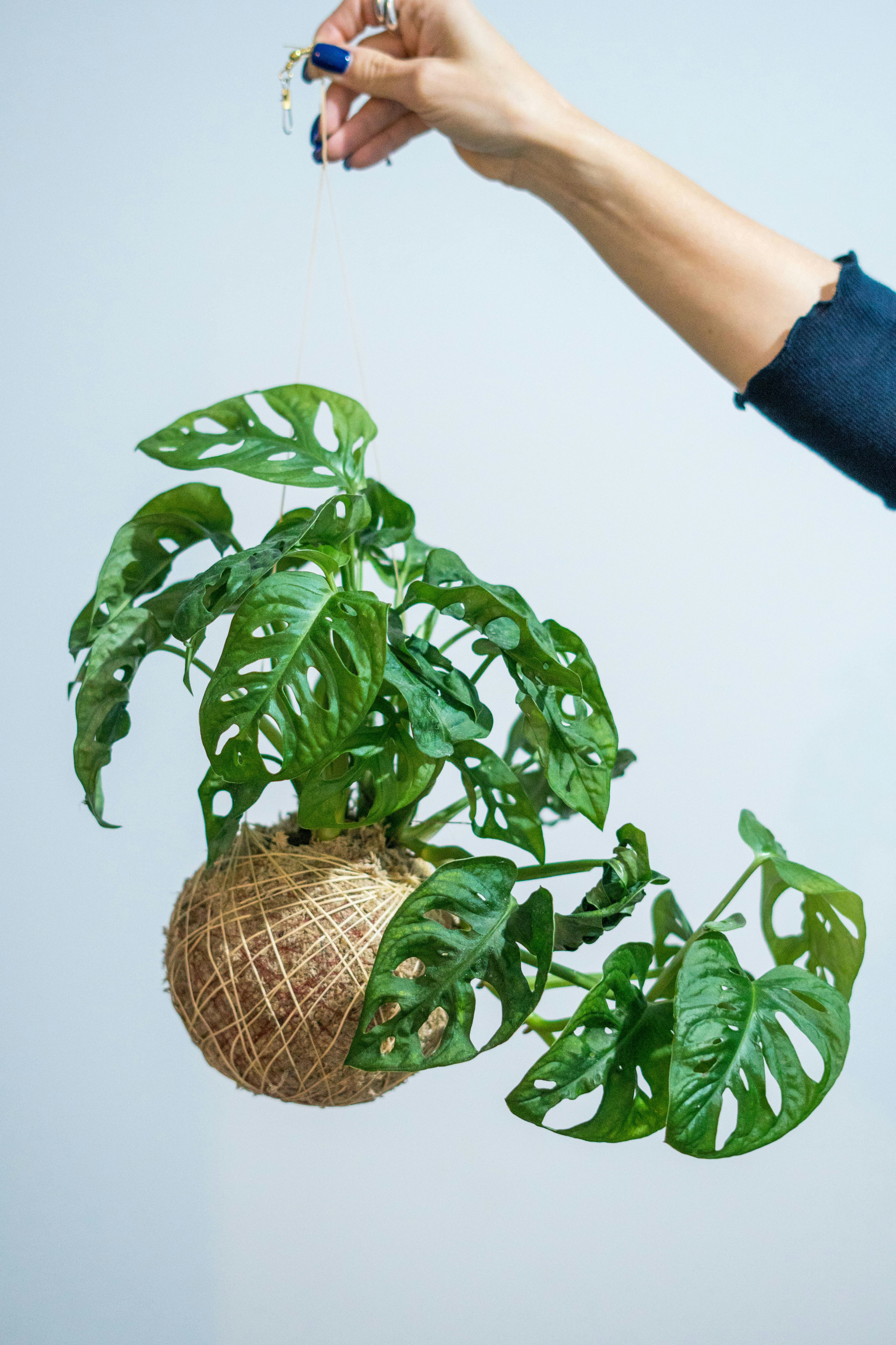 Photo by antonioaaaraujo