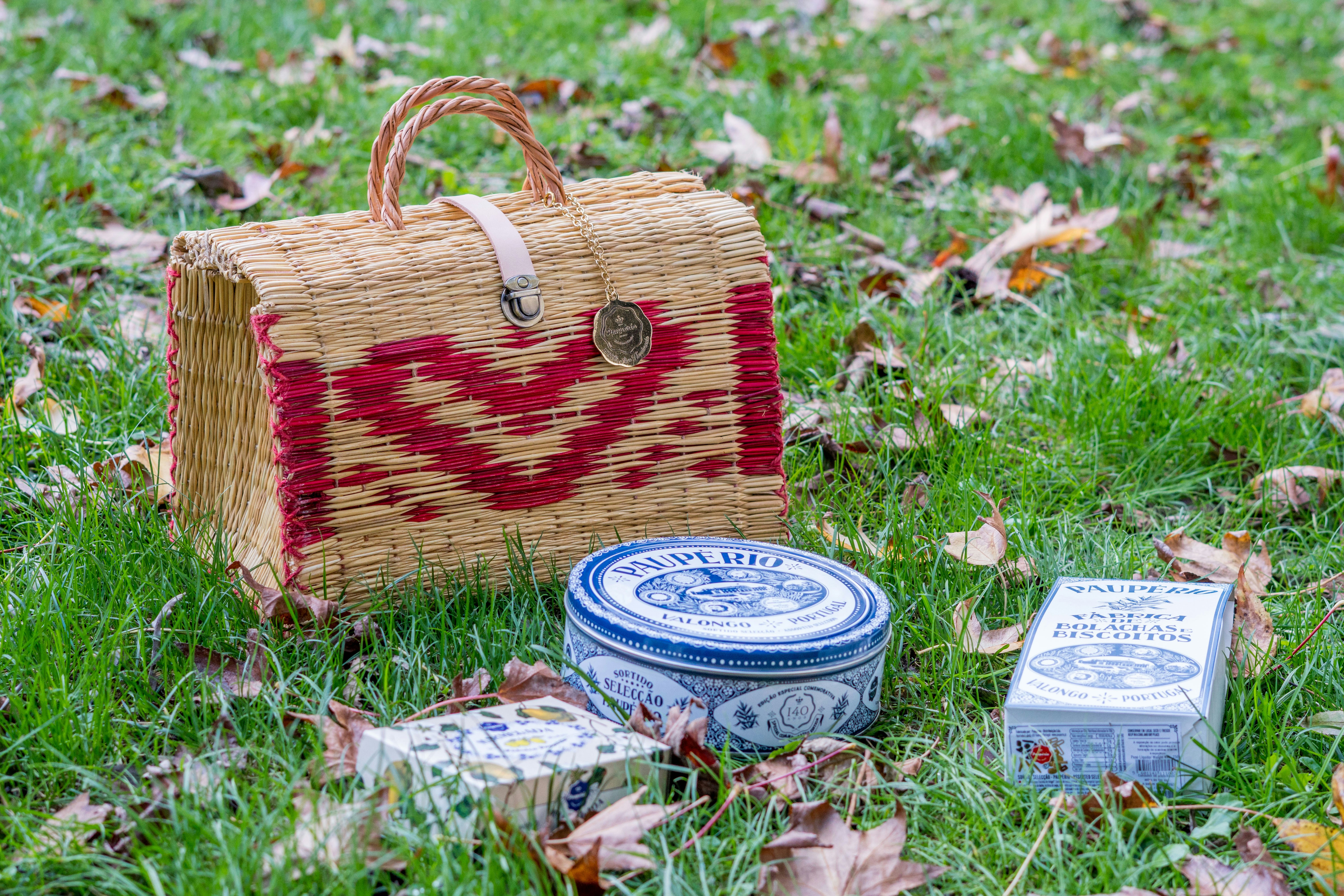 A picnic basket, tins, and other items on the grass