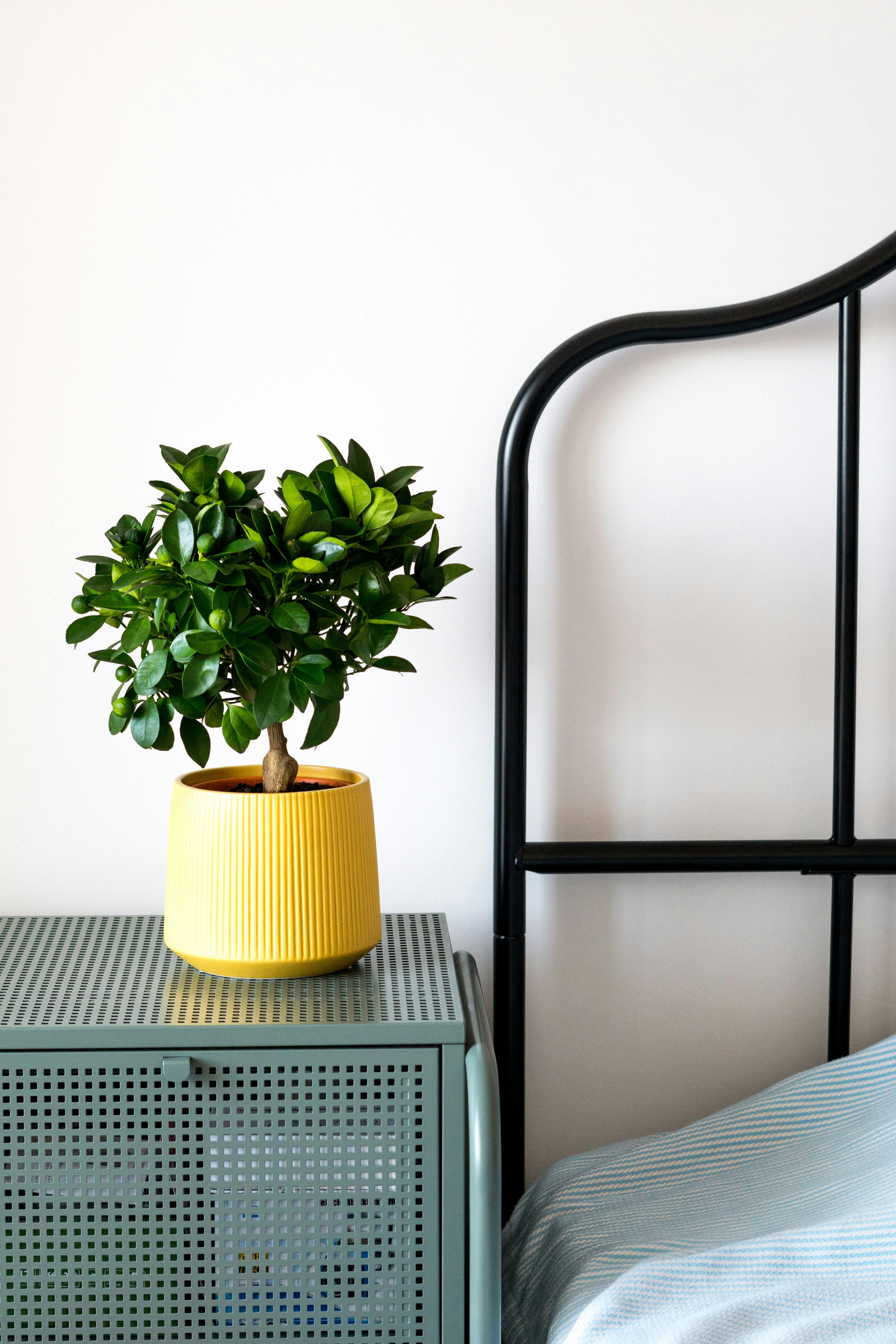 Photo by antonioaaaraujo