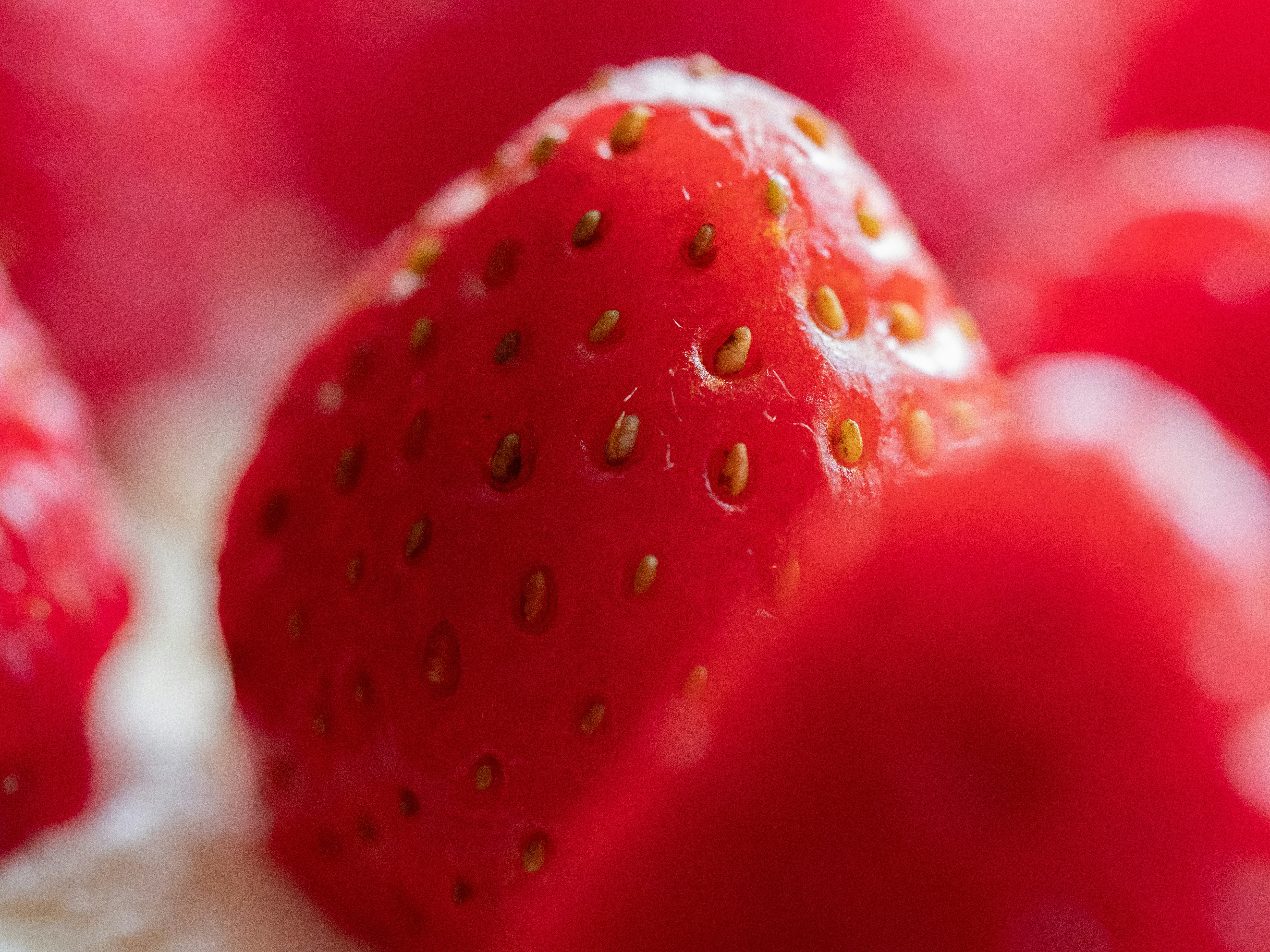 Photo by brett_jordan