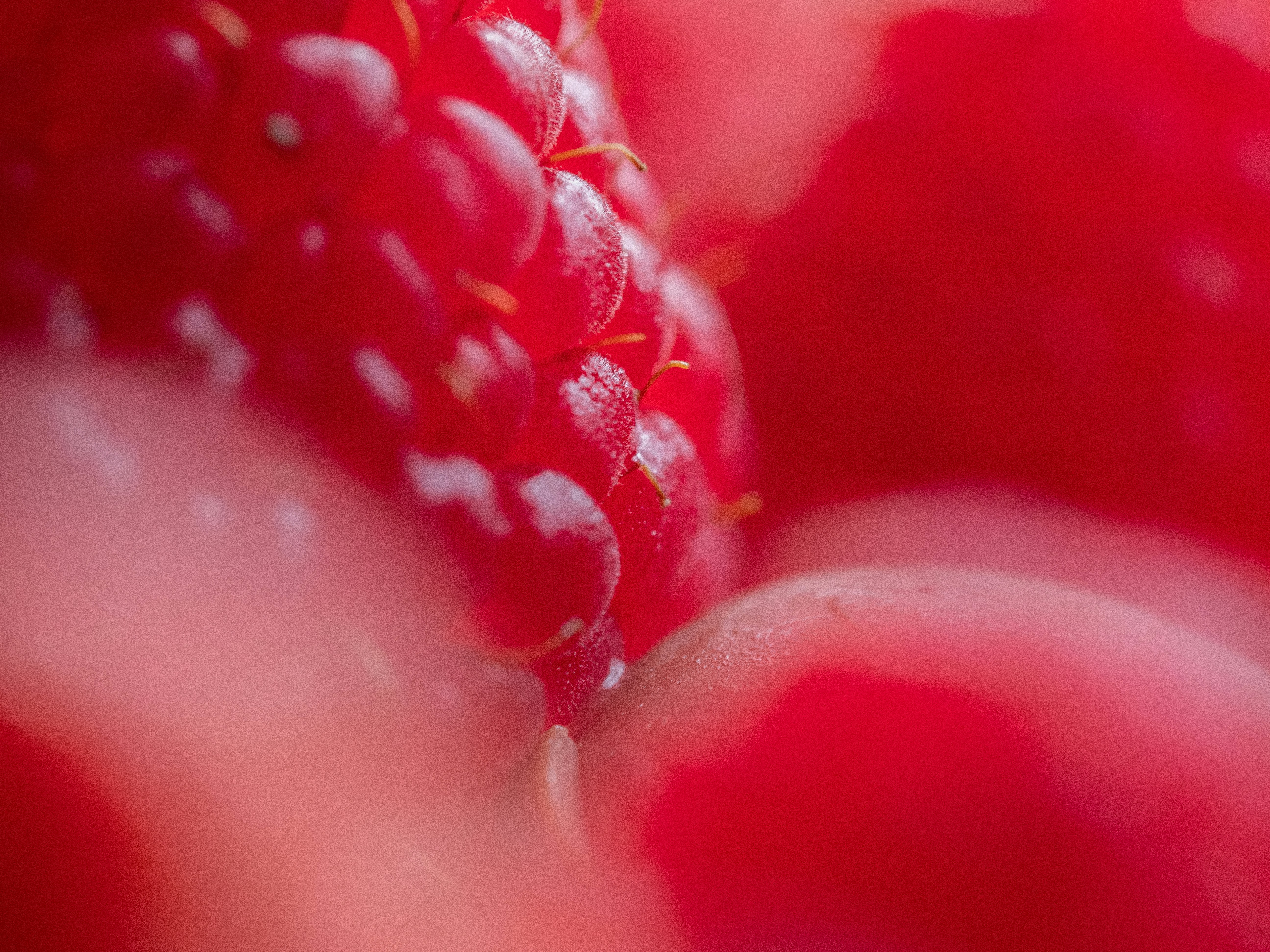 Photo by brett_jordan