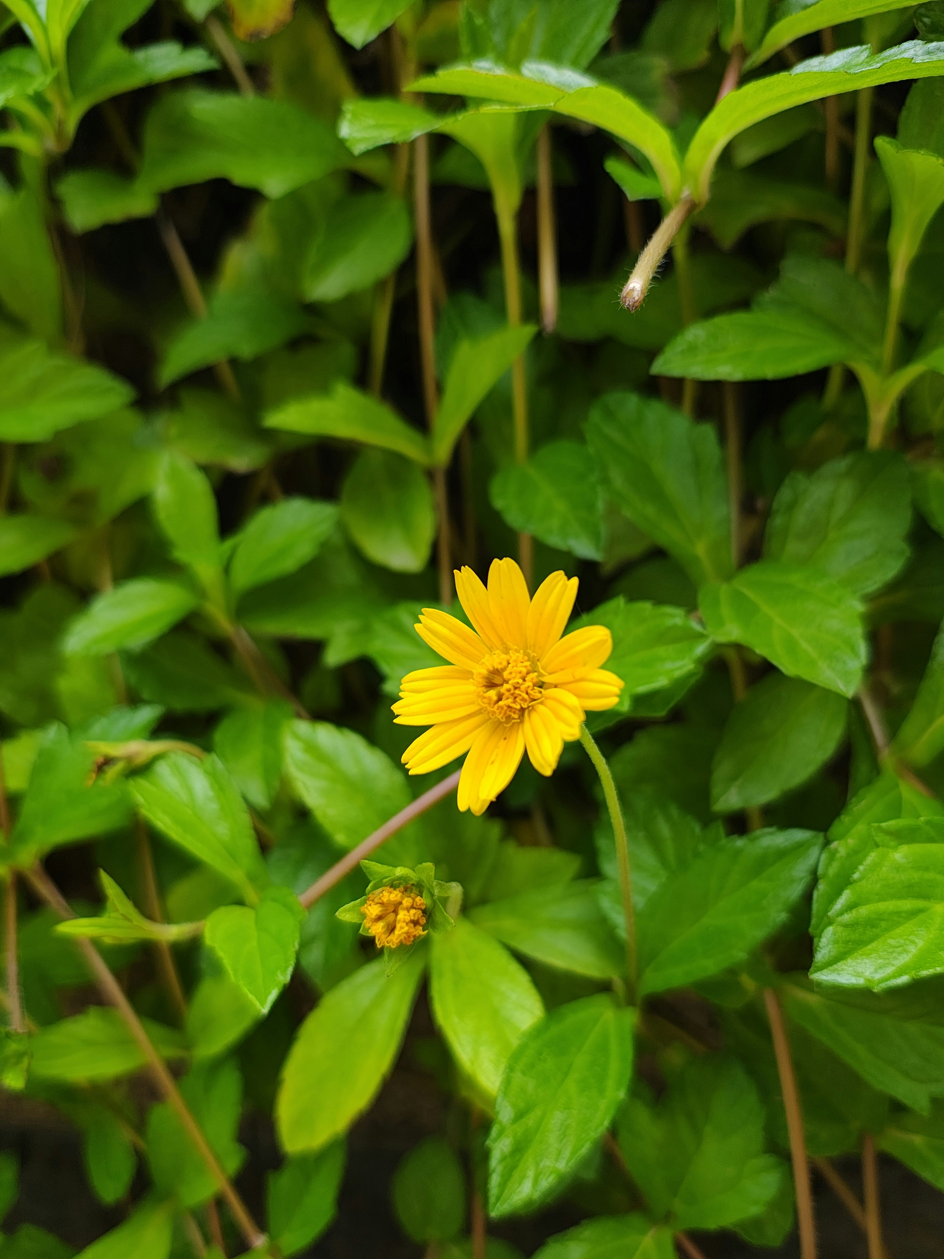 Photo by heeraharini