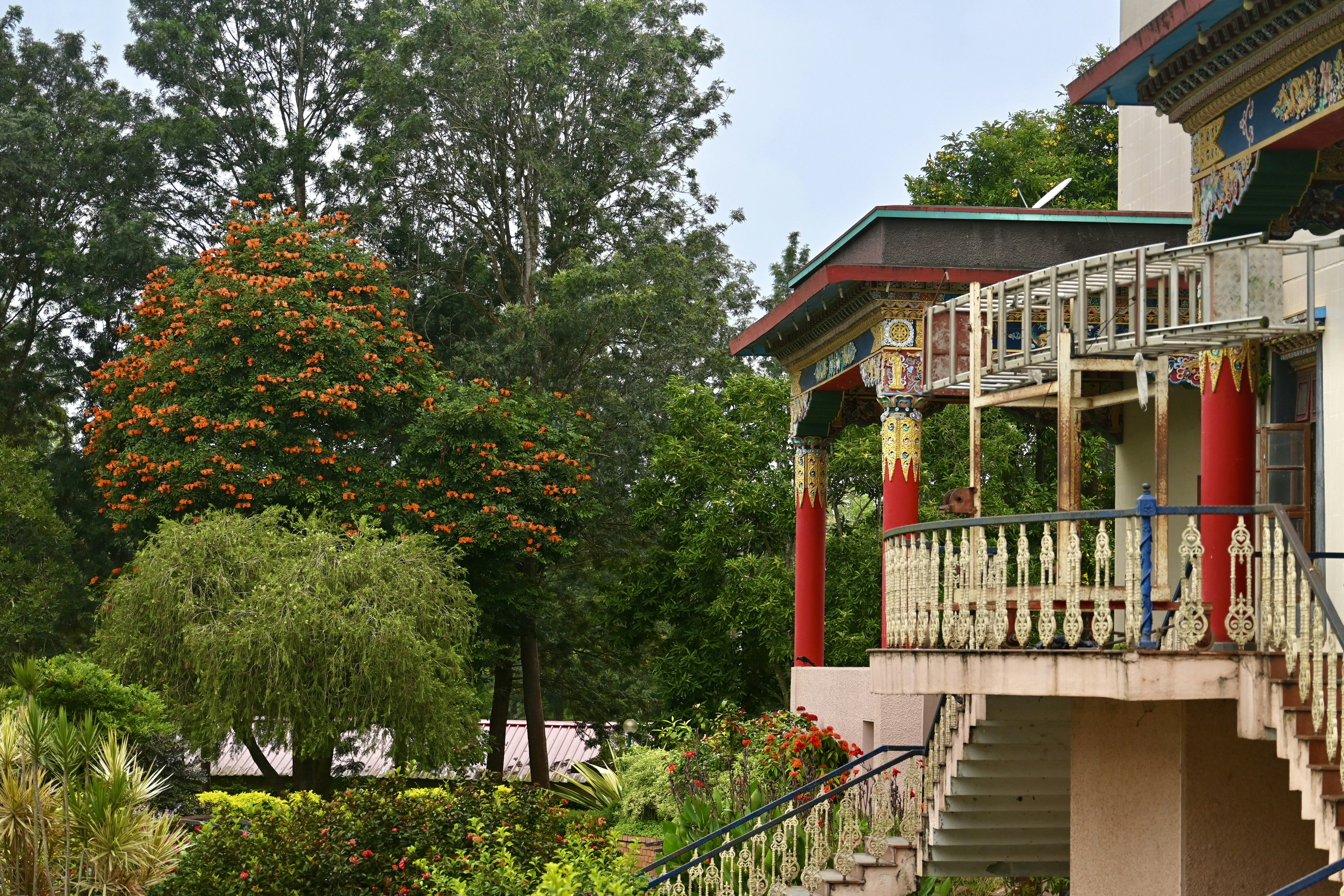 Photo by praswinprakashan