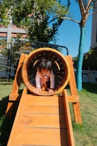 A young girl playing inside of a wooden structure