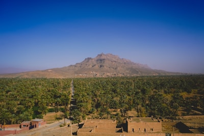 An aerial view of a desert town with a mountain in the background