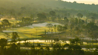A golf course surrounded by trees and mountains