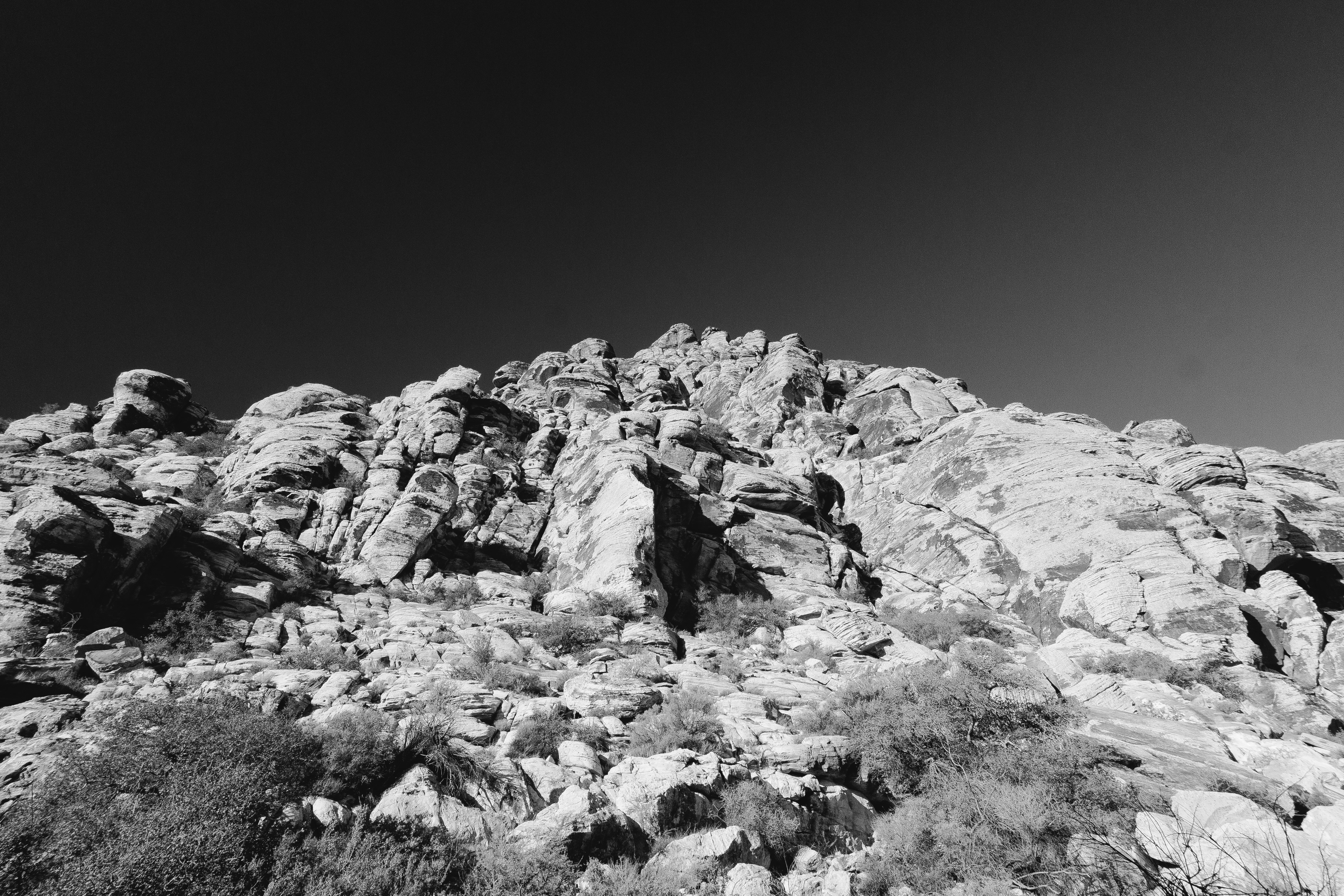 Photo by evanjonesfilm