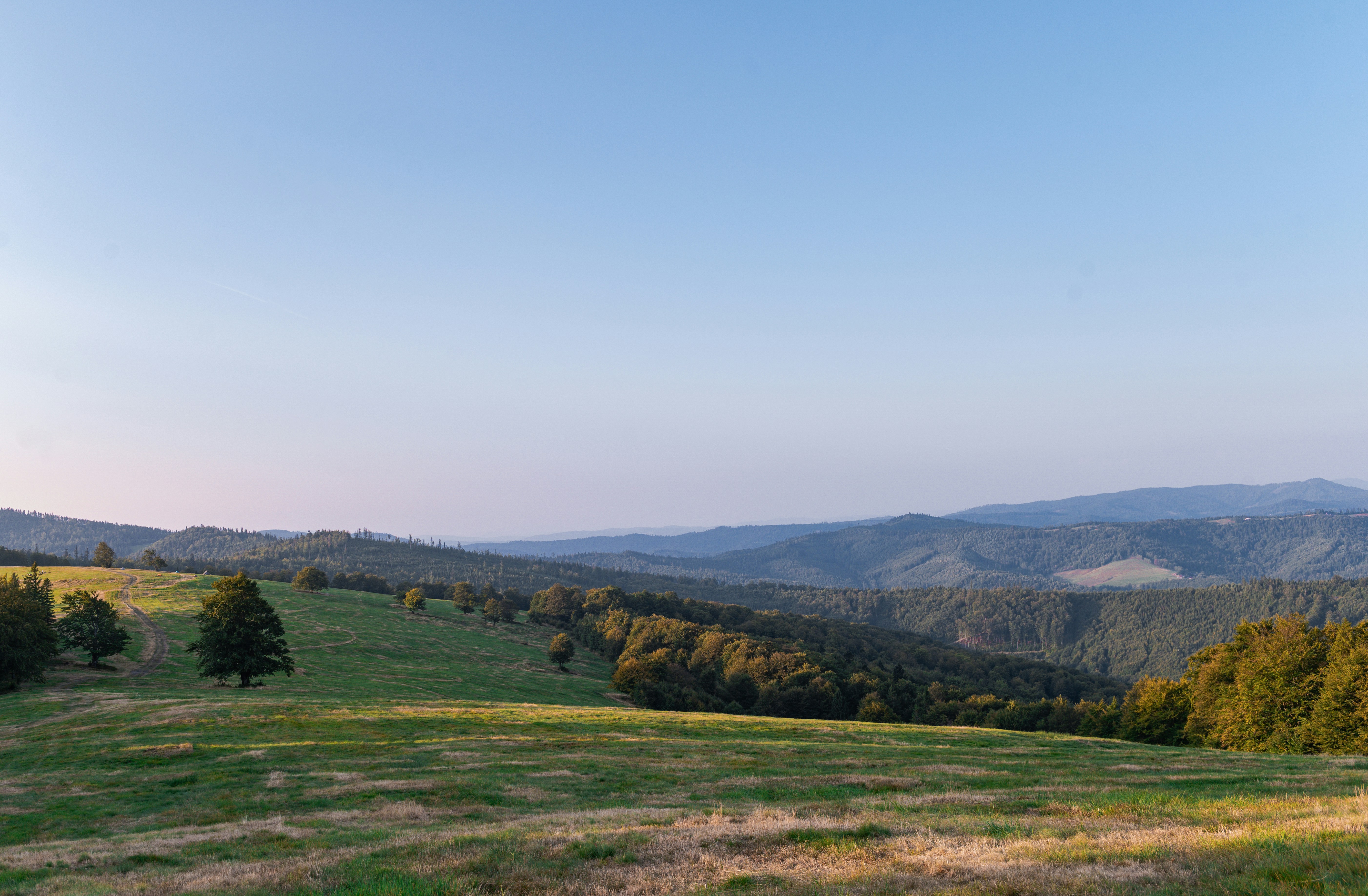 Photo by alexandra_p_d