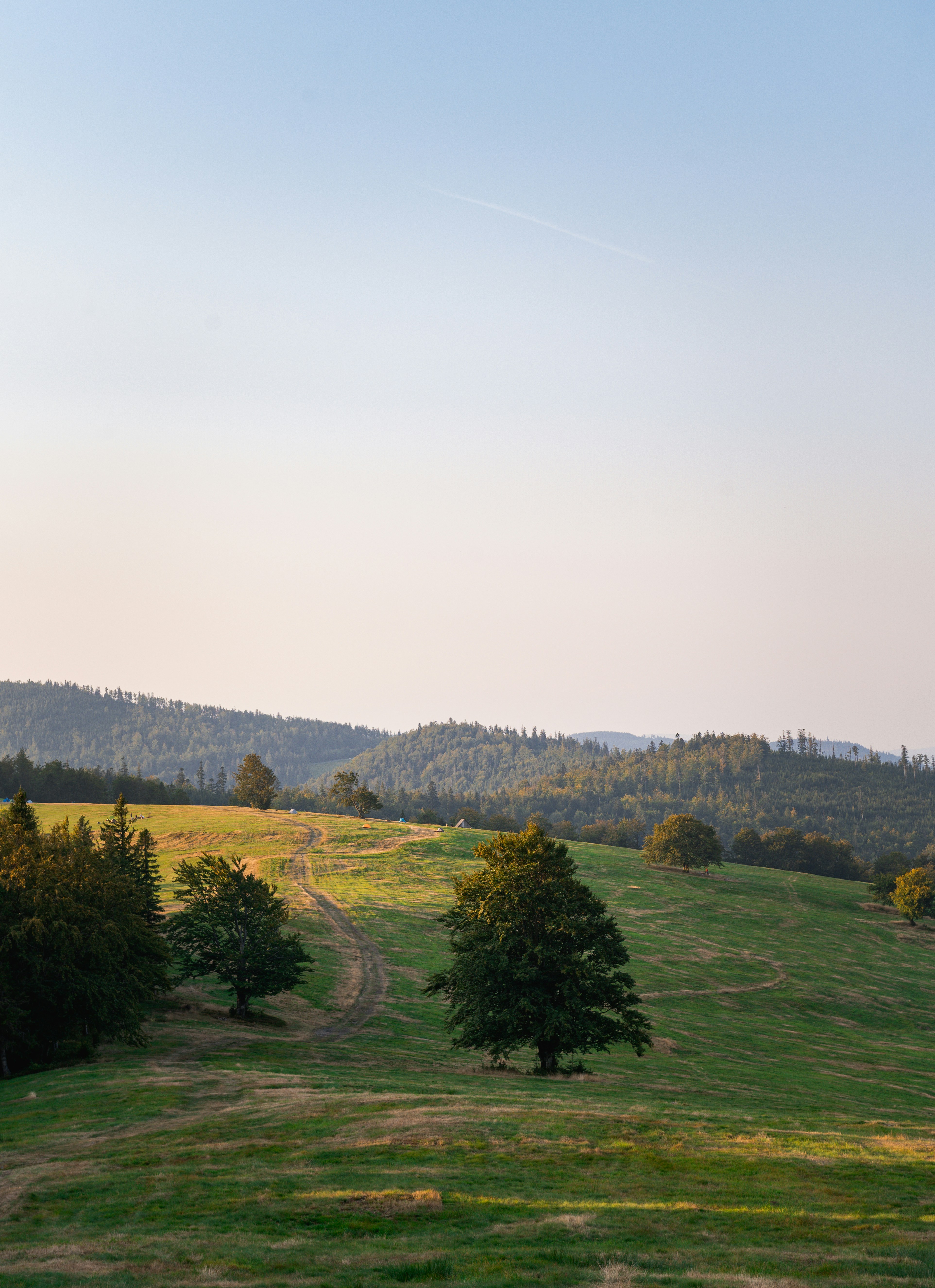 Photo by alexandra_p_d