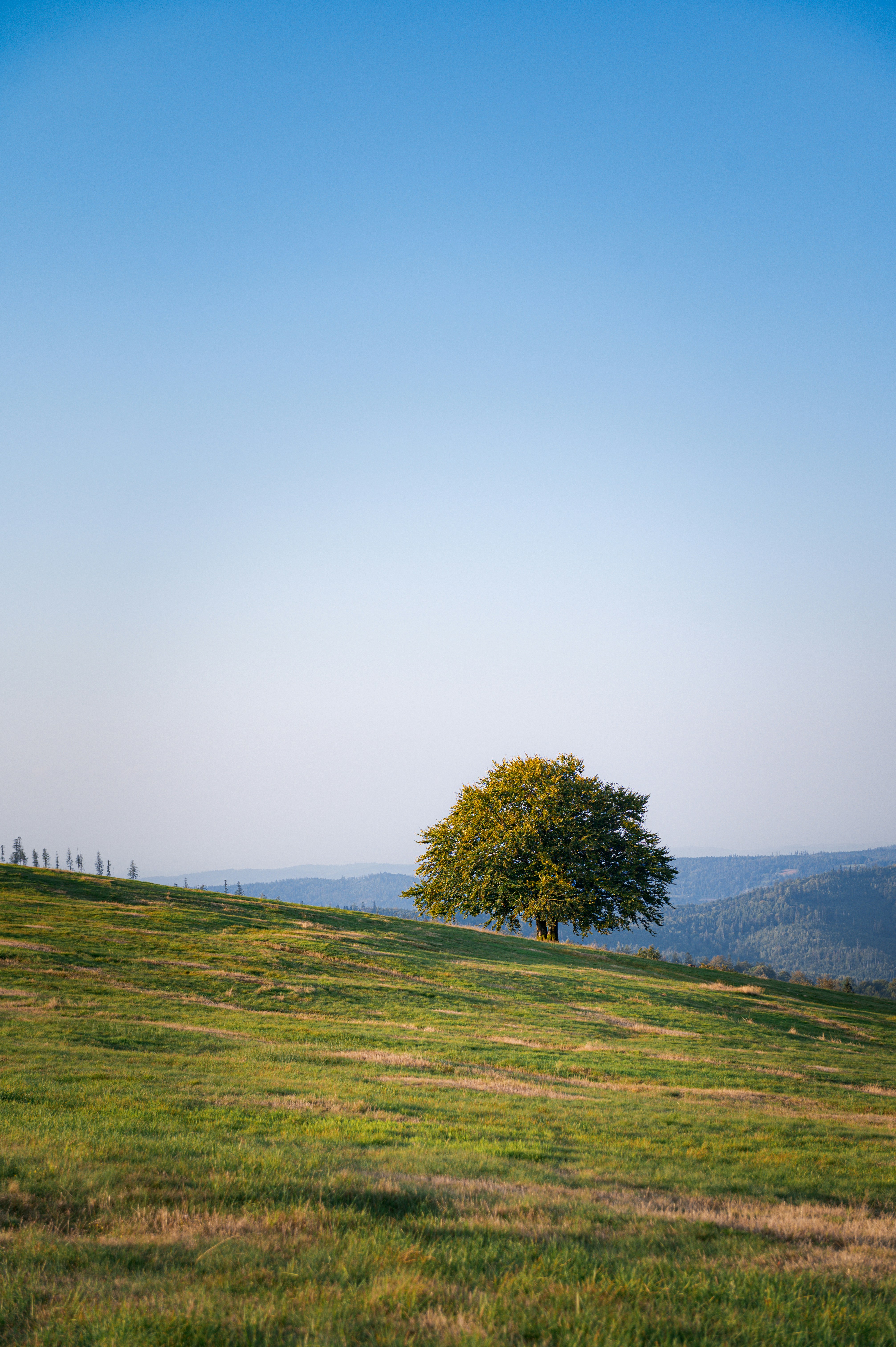 Photo by alexandra_p_d