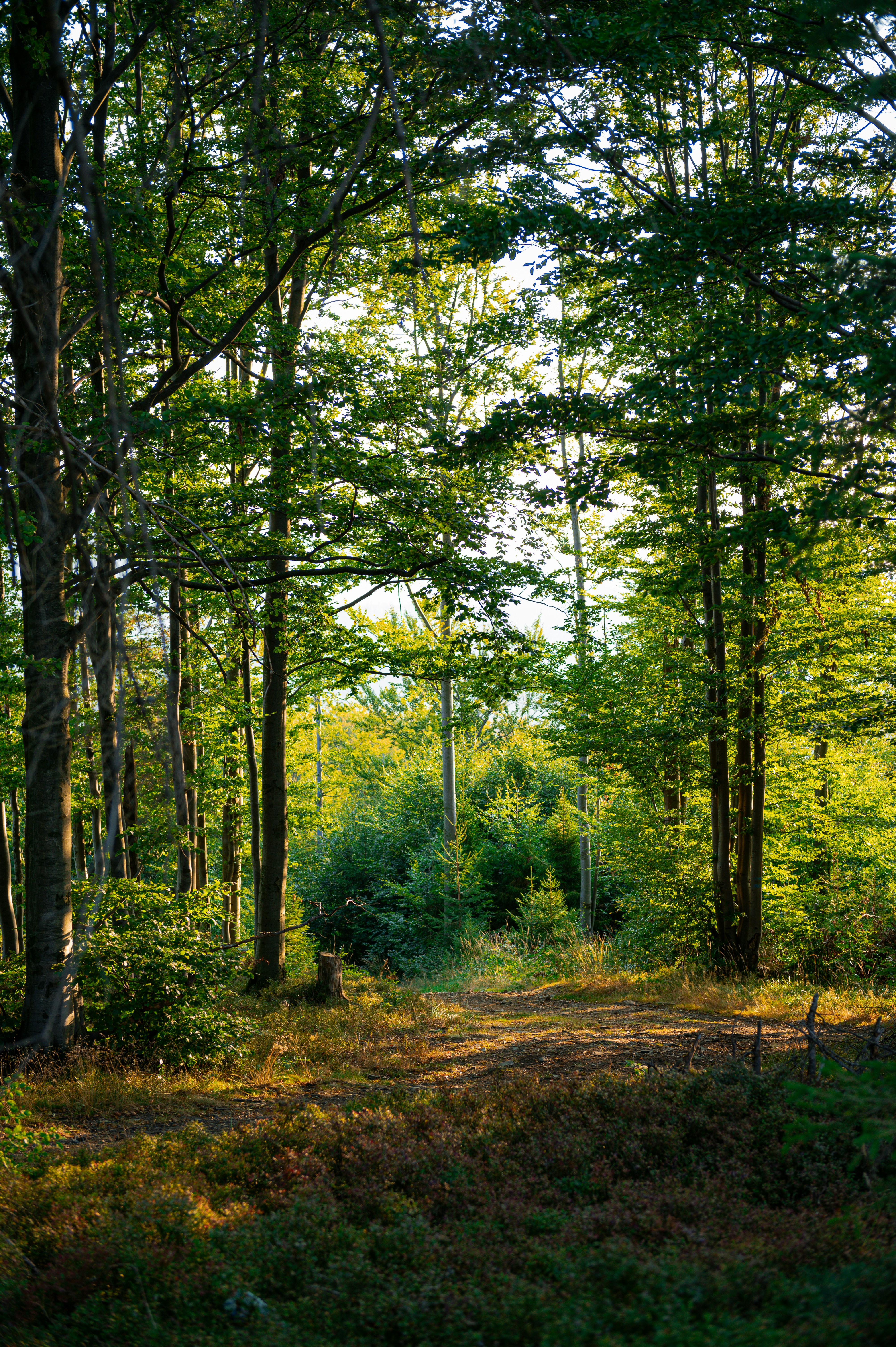 Photo by alexandra_p_d