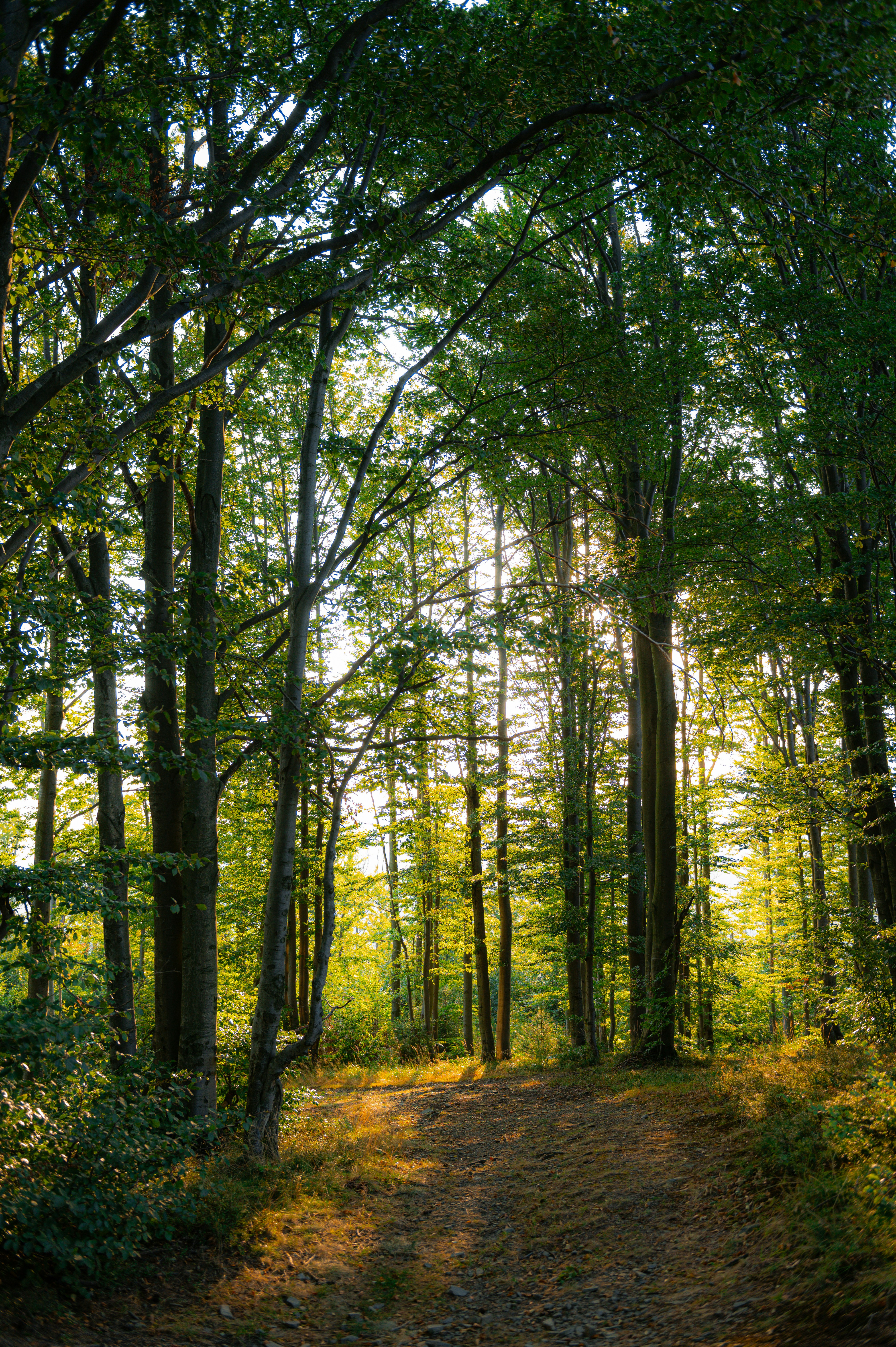 Photo by alexandra_p_d