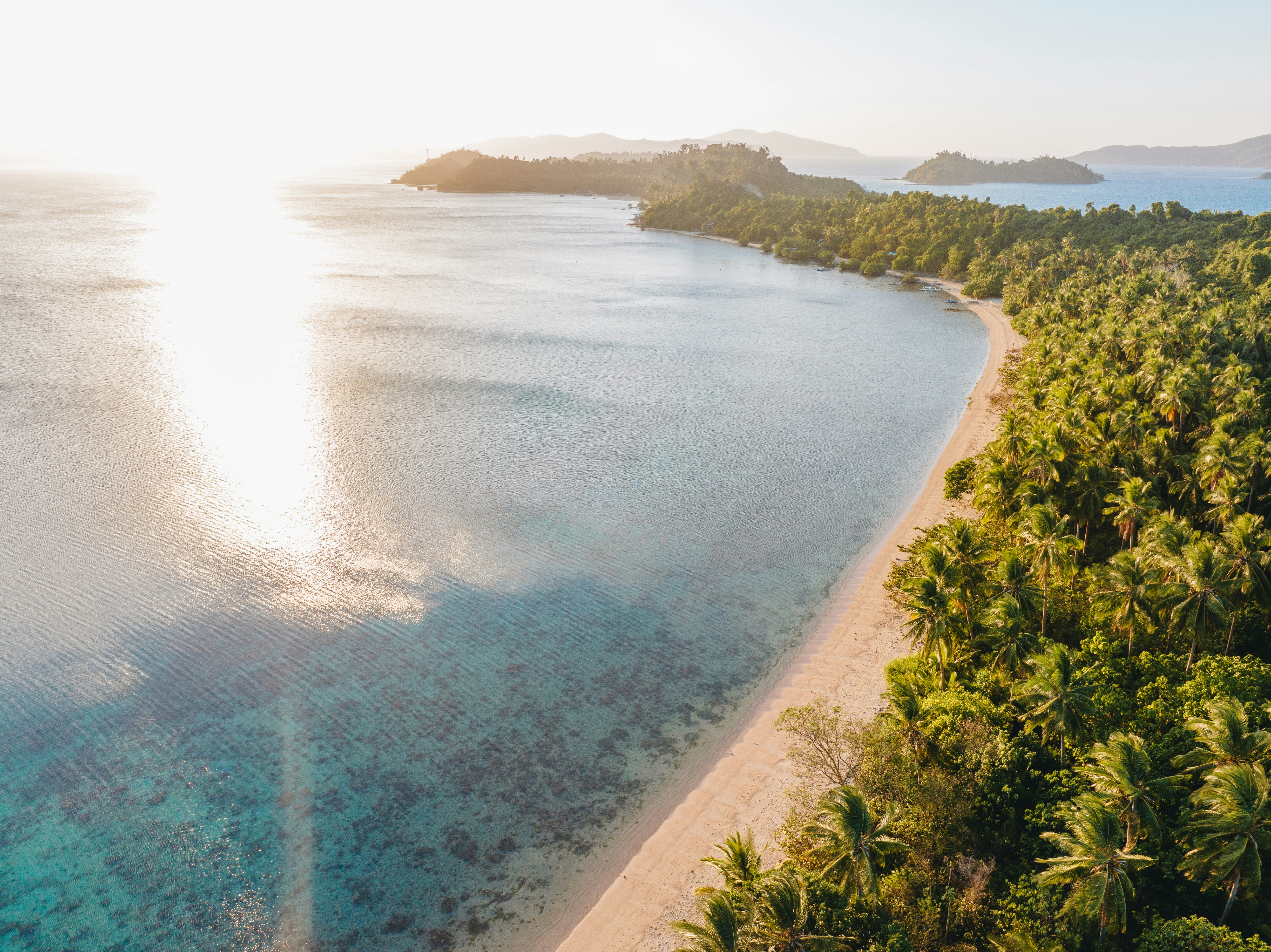 An aerial view of a tropical island with palm trees