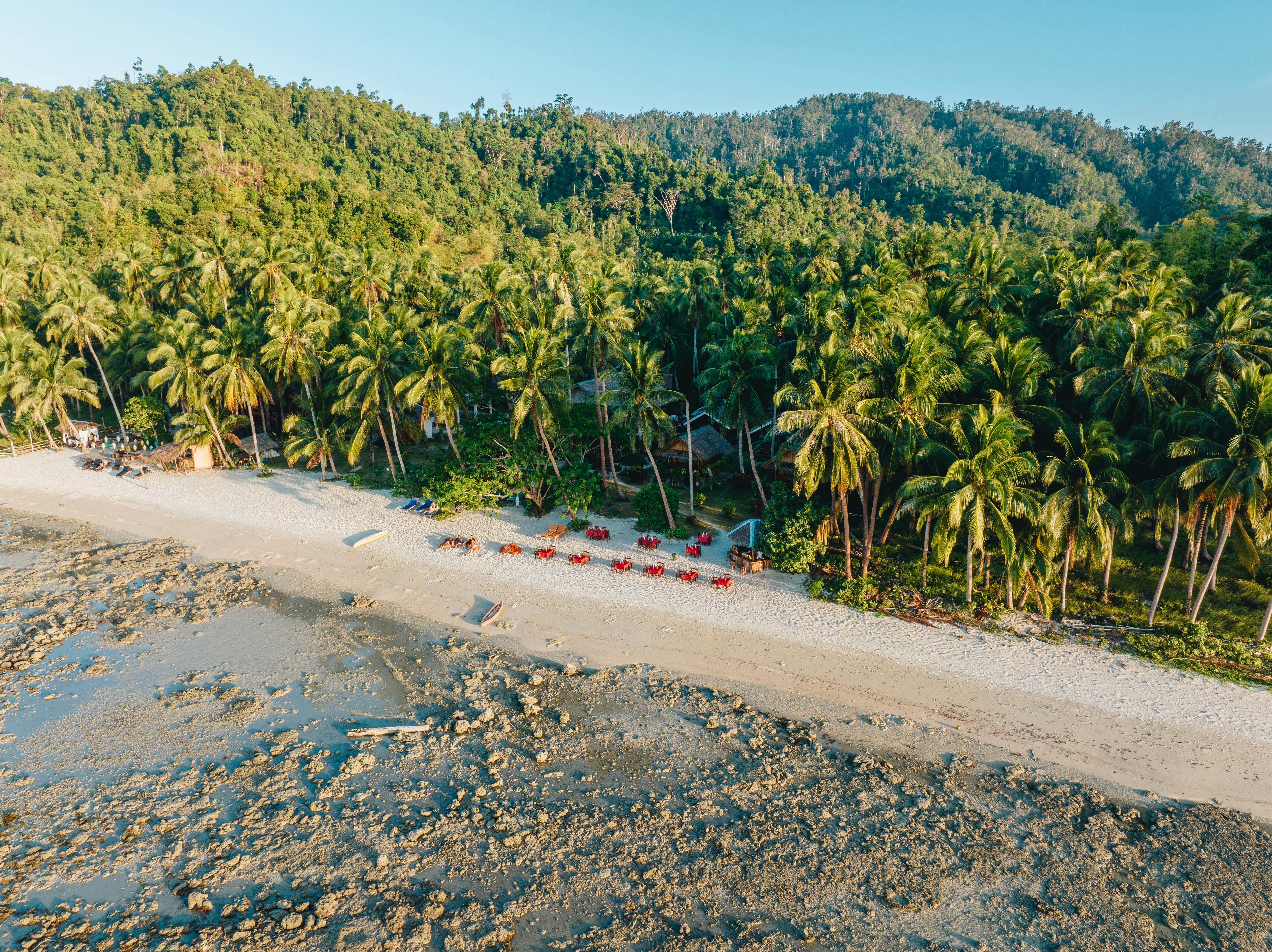 An aerial view of a beach with palm trees