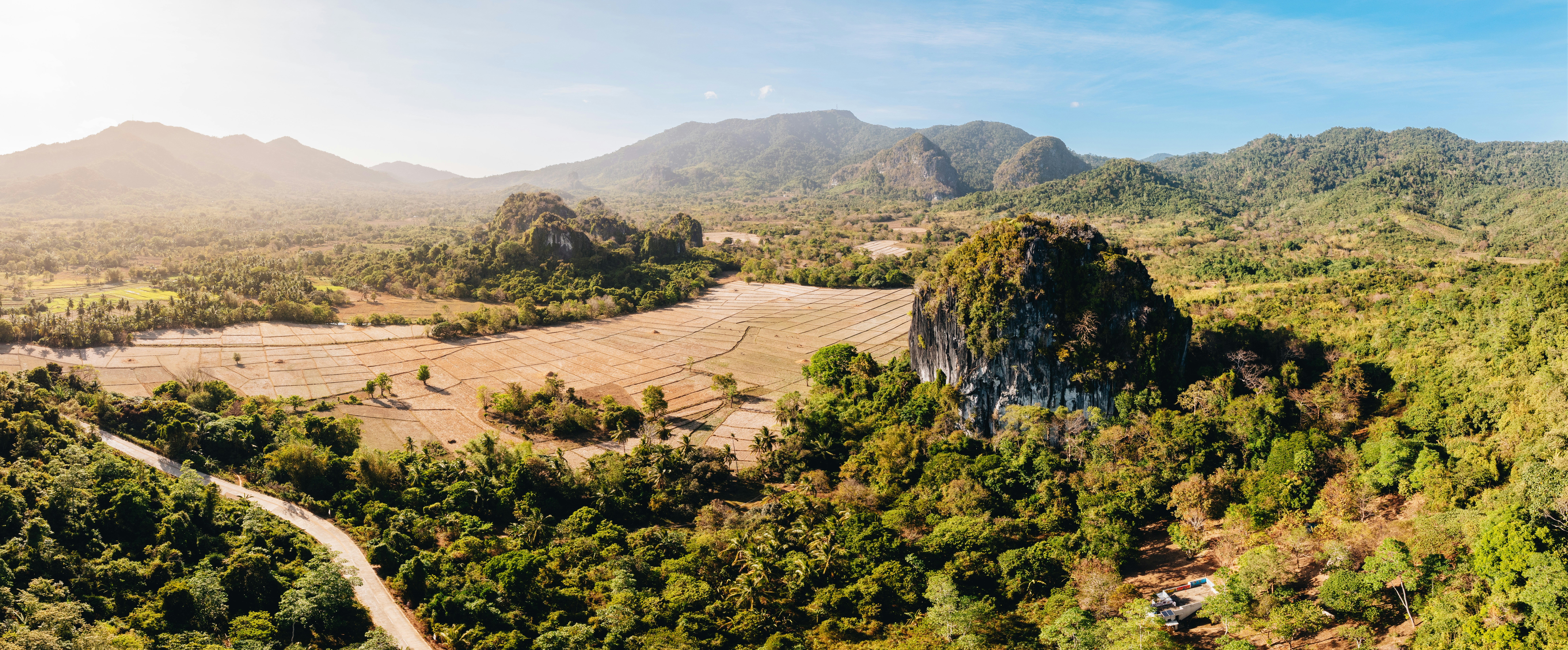A bird's eye view of a forest with mountains in the background
