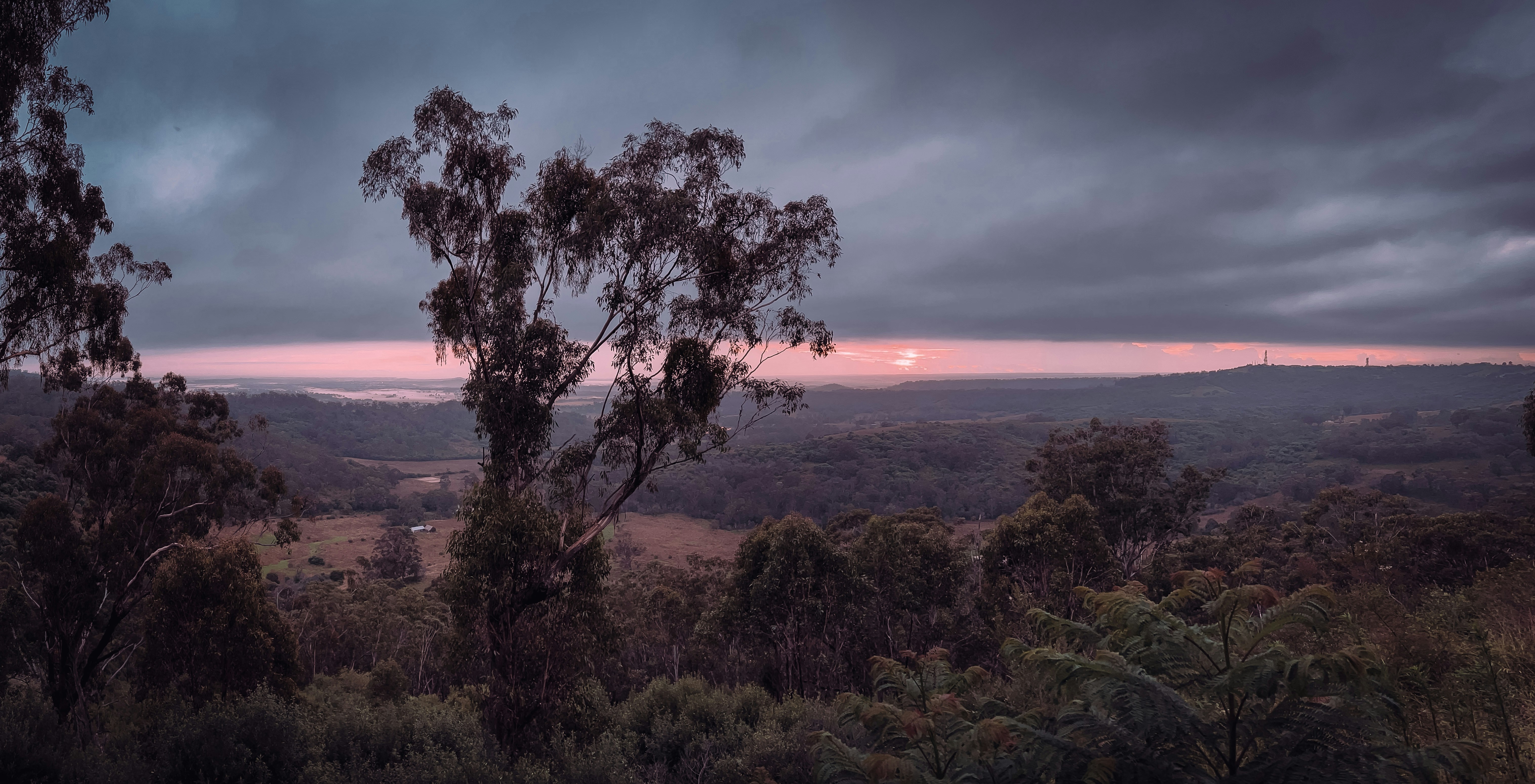 Photo by gingerbudgie