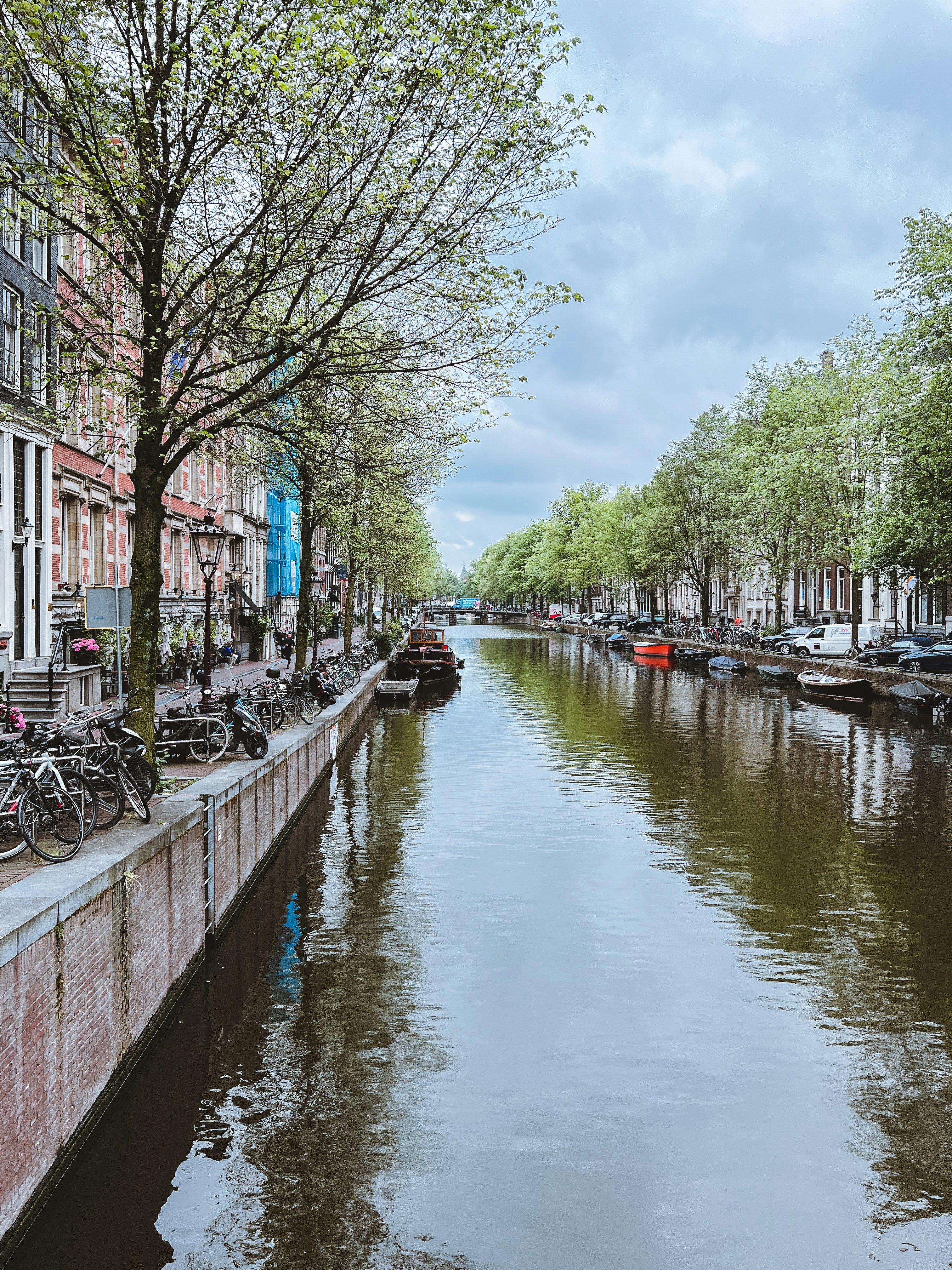 Photo by gingerbudgie