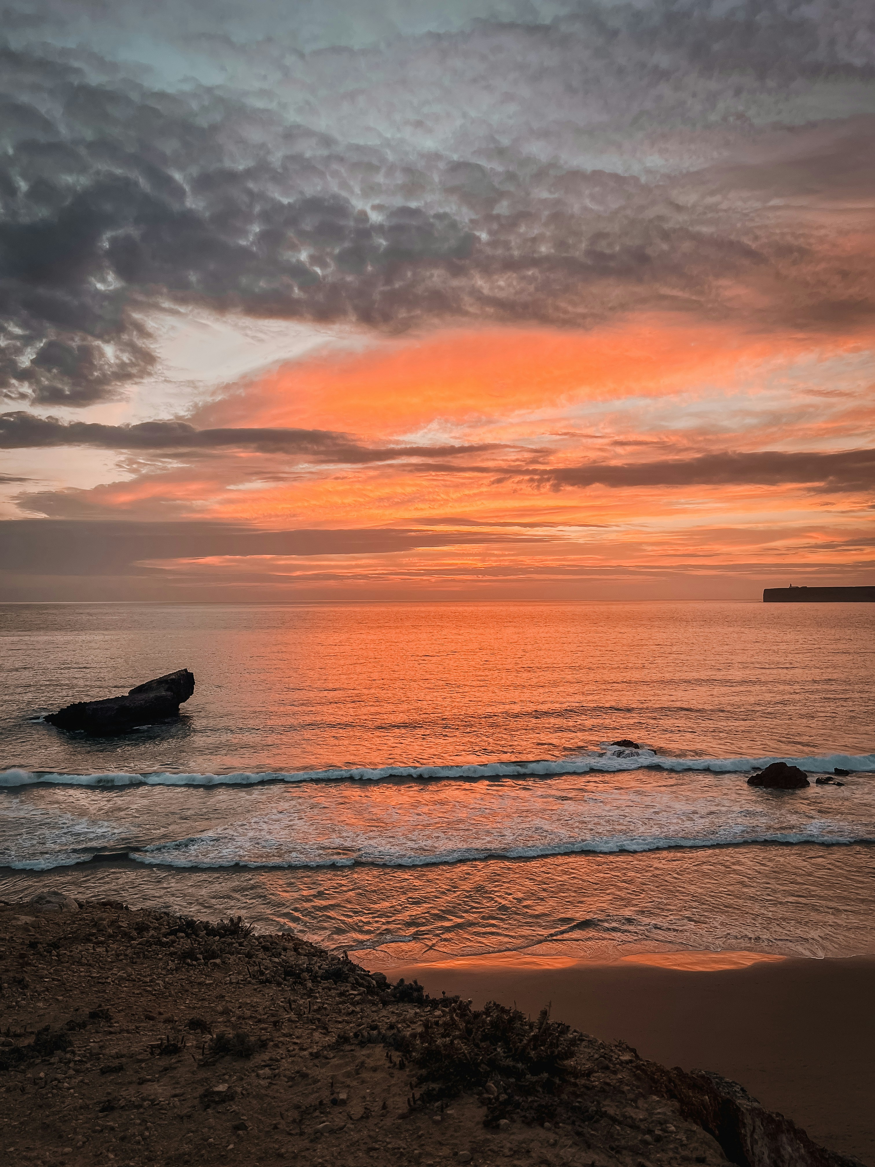 Photo by gingerbudgie