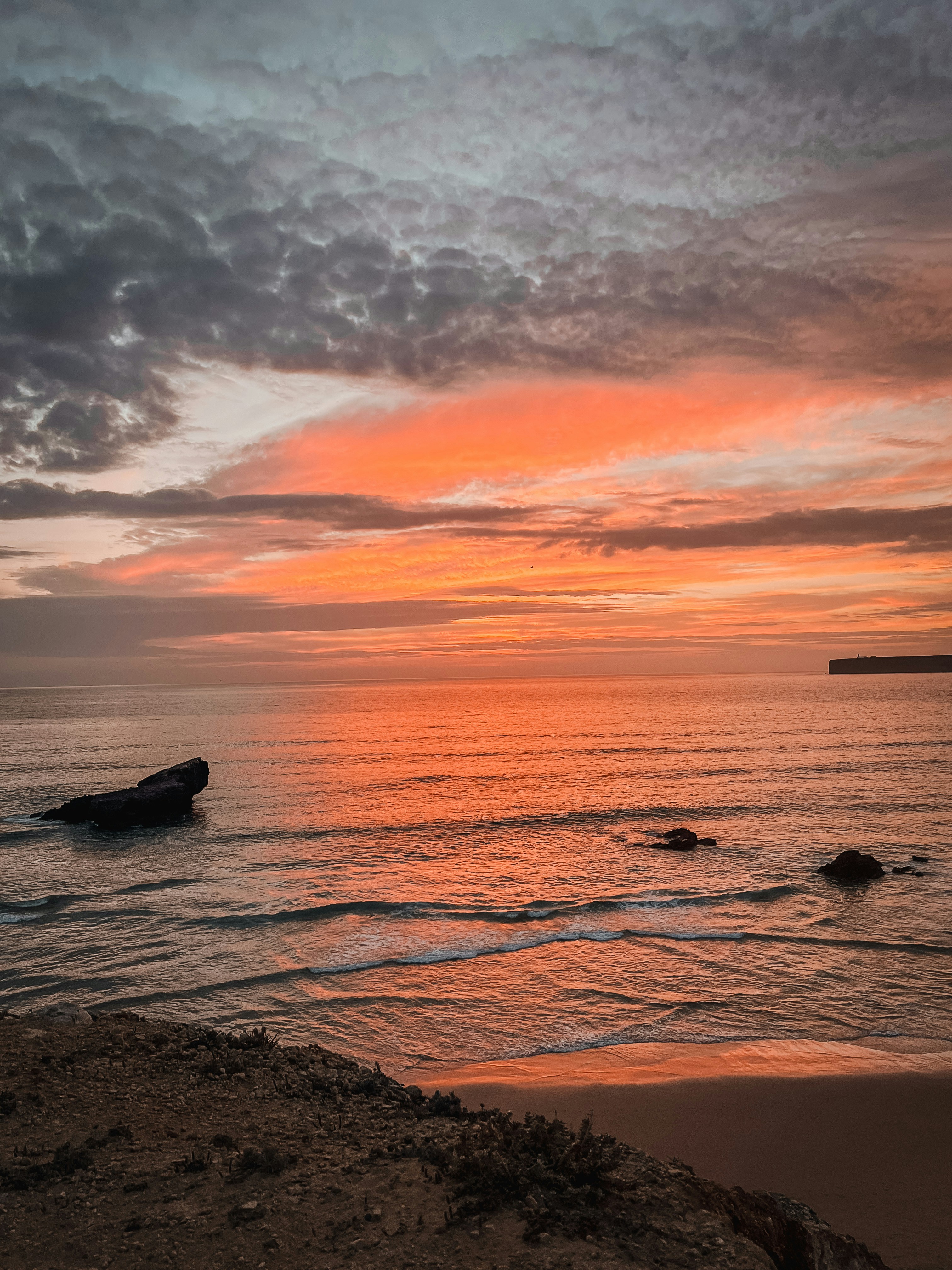 Photo by gingerbudgie