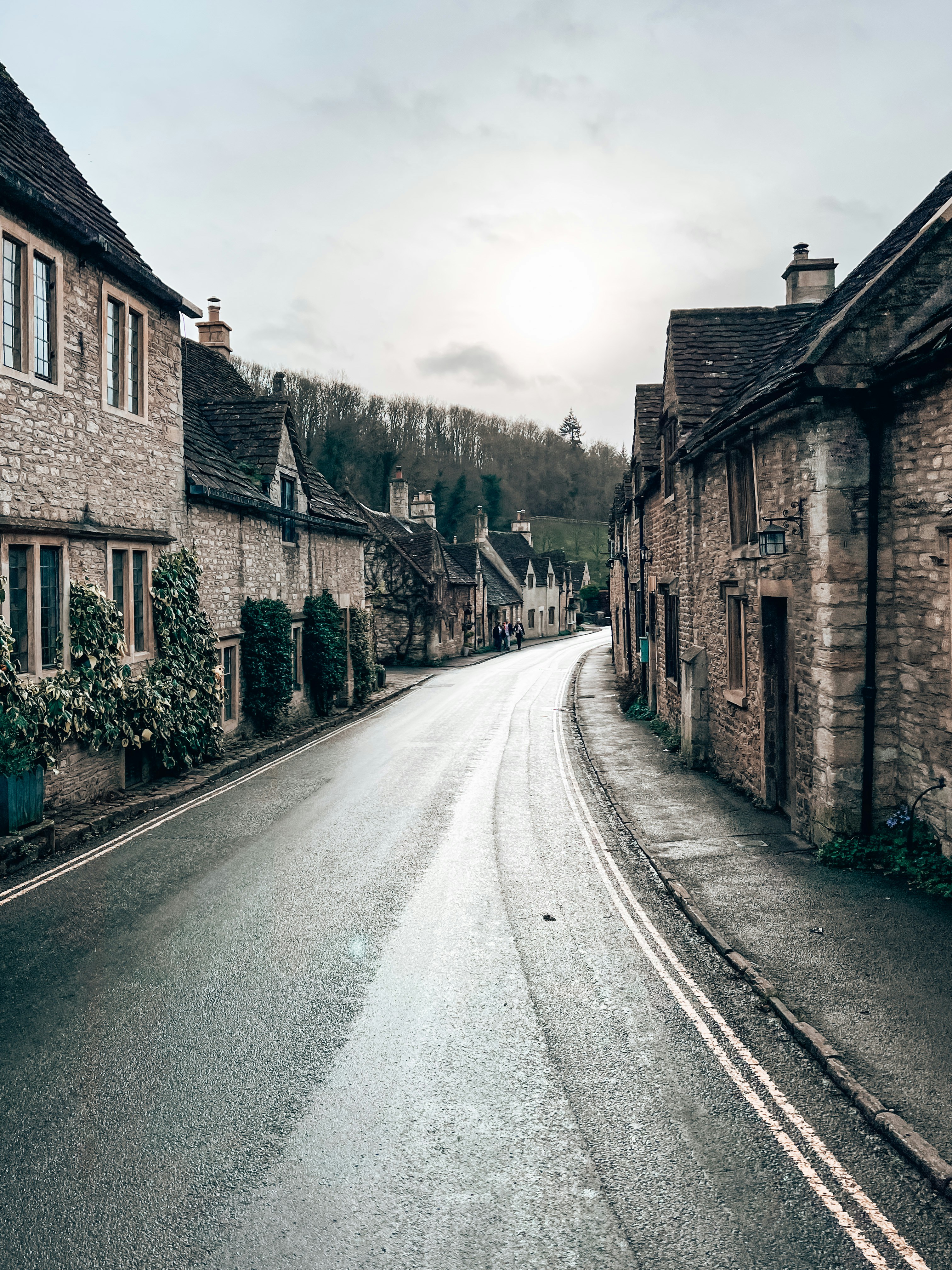 Photo by gingerbudgie