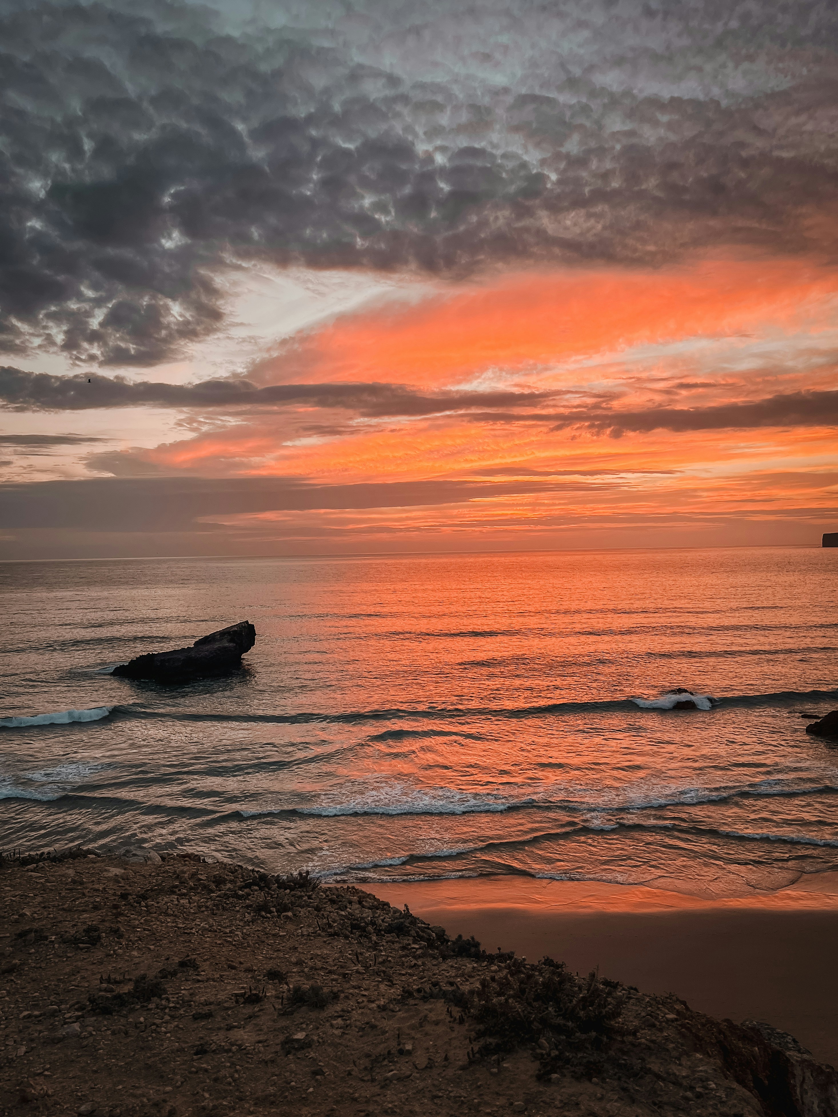 Photo by gingerbudgie