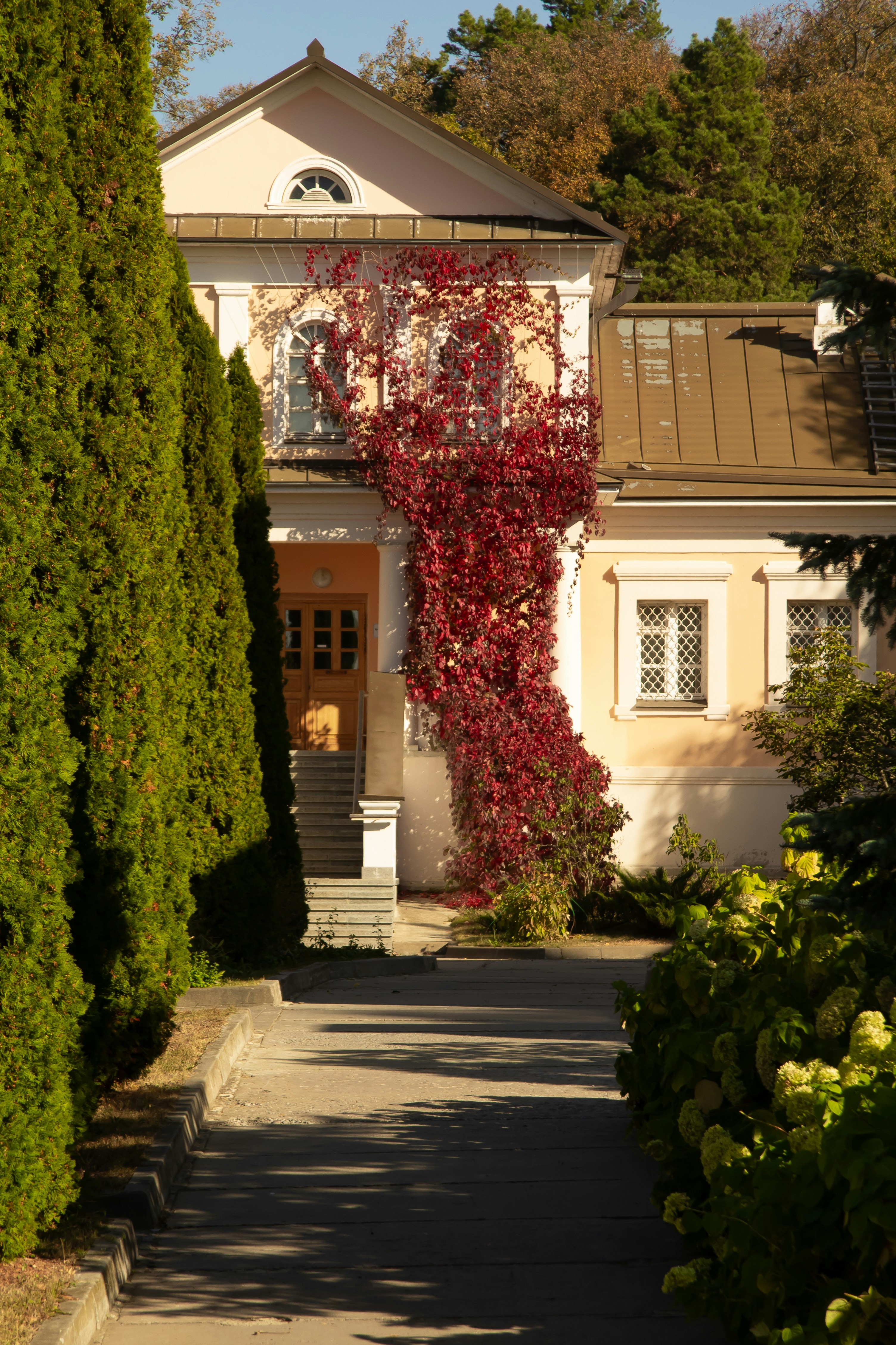 A house with a lot of trees in front of it