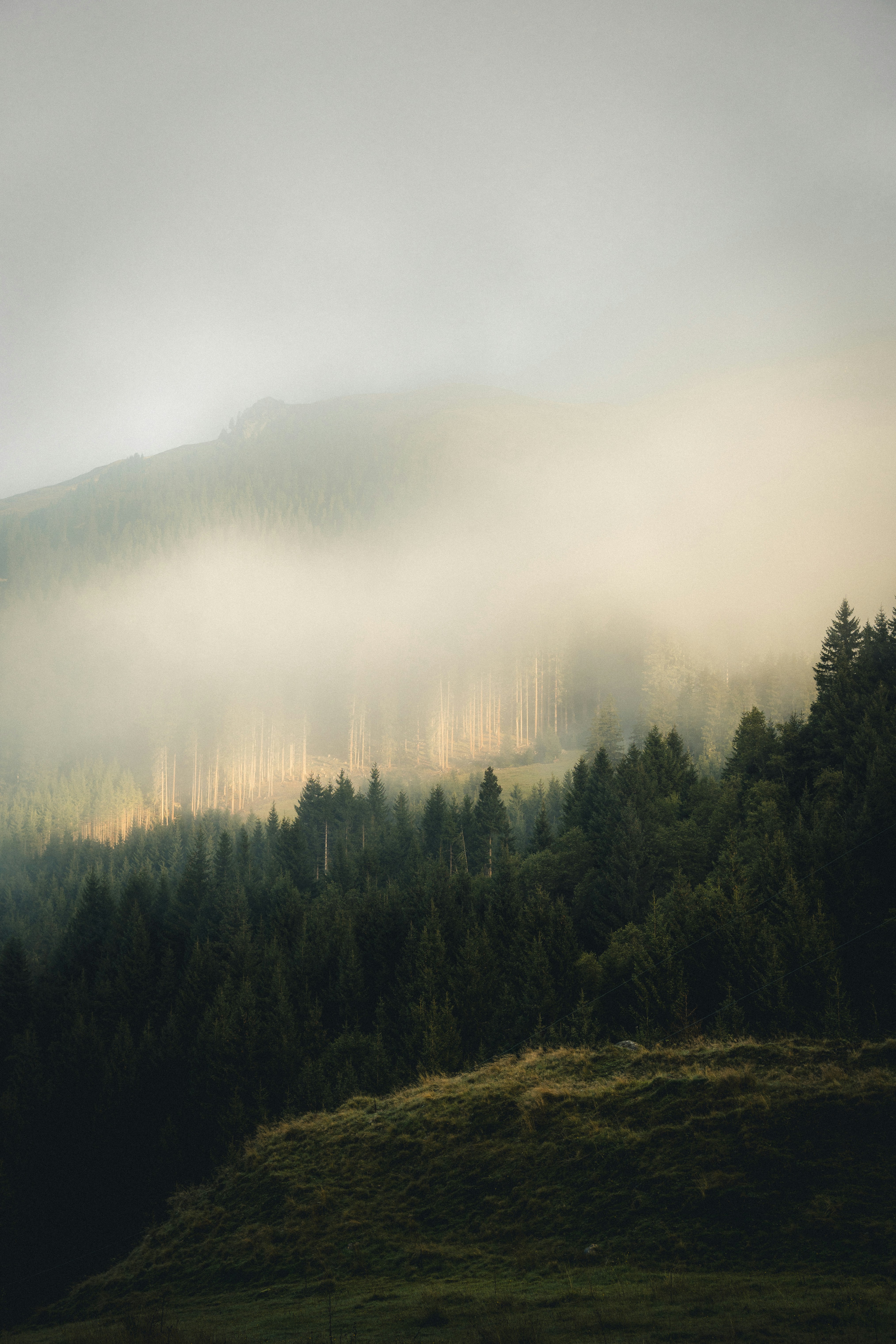 Photo by electerious