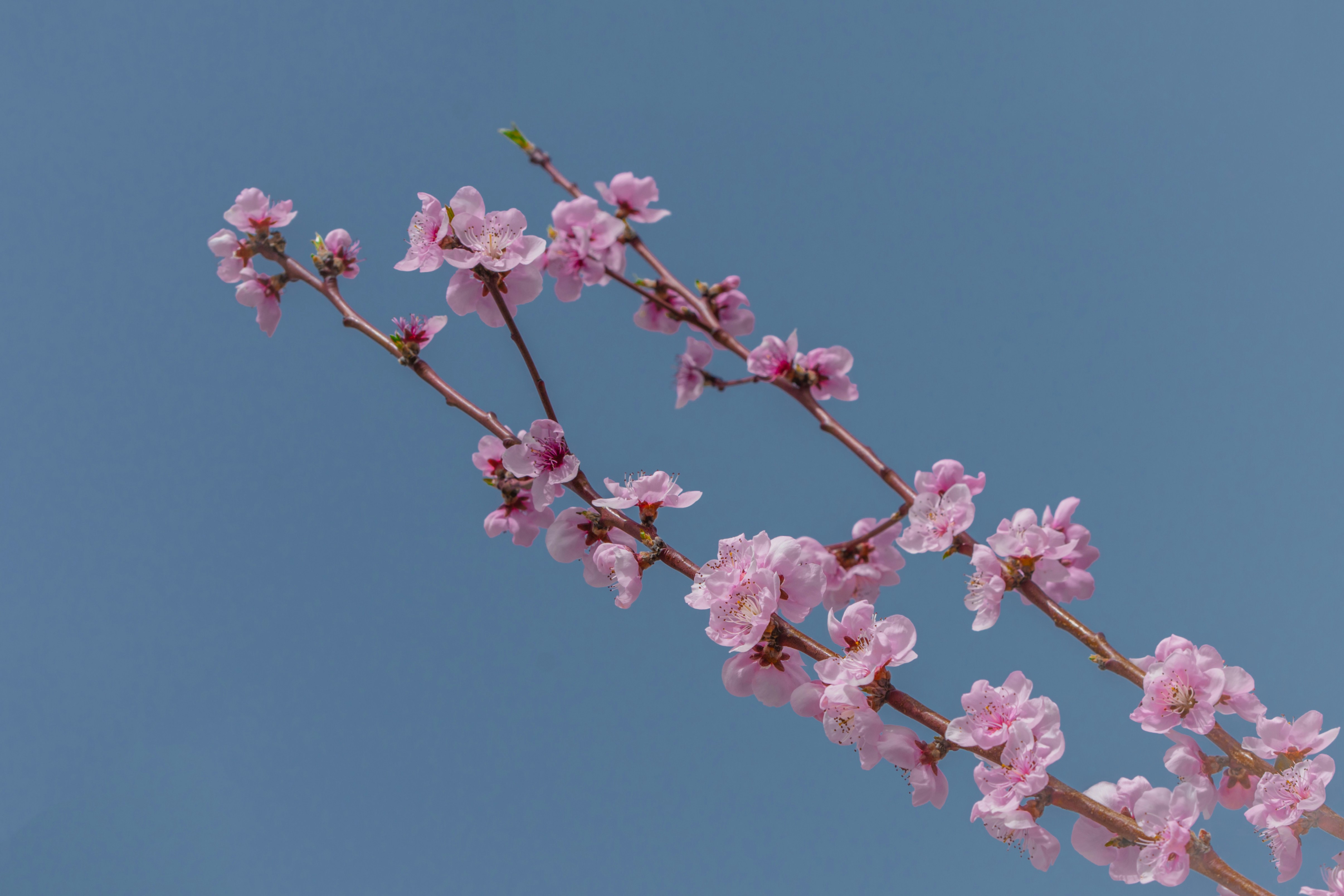 Photo by winstontjia