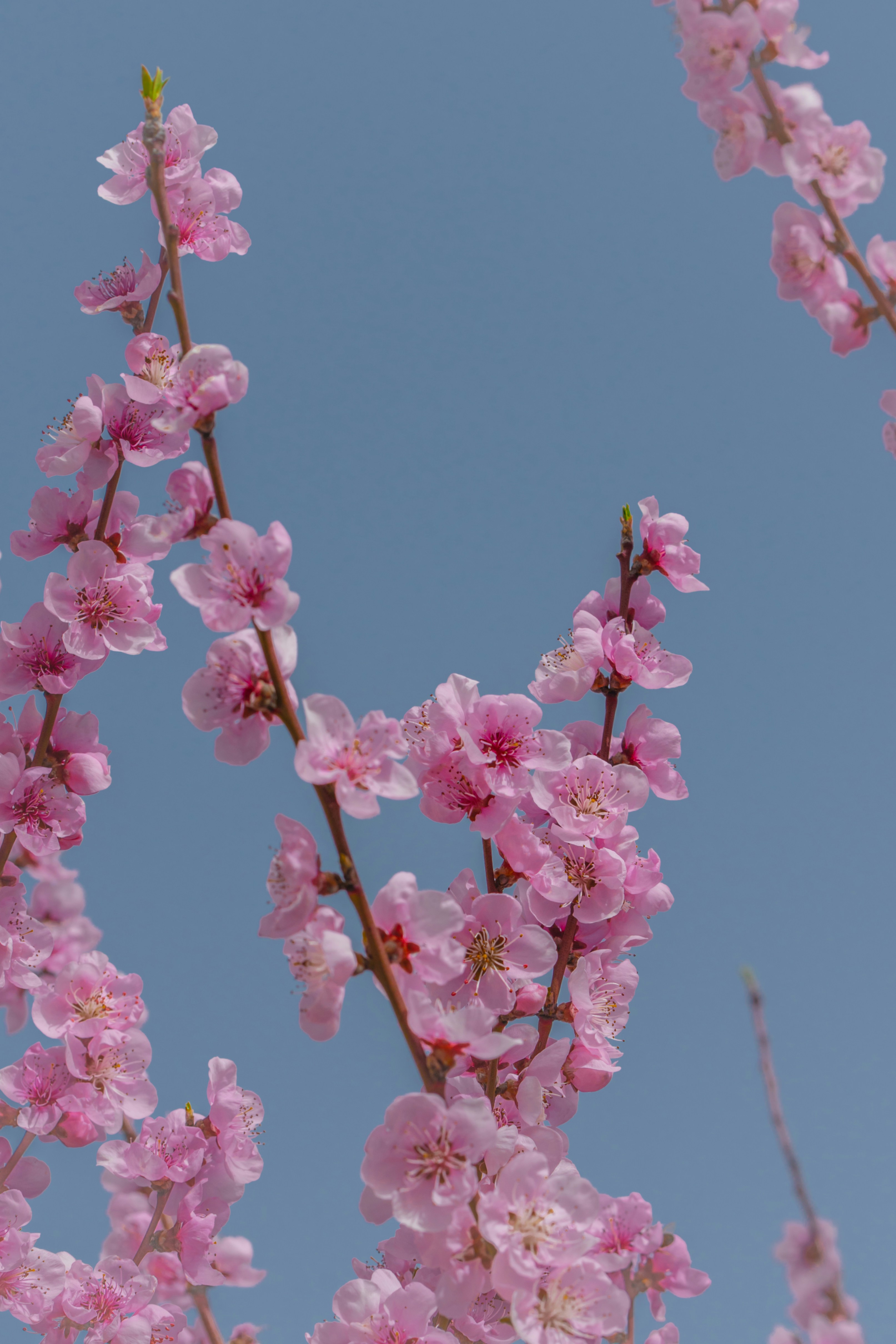 Photo by winstontjia