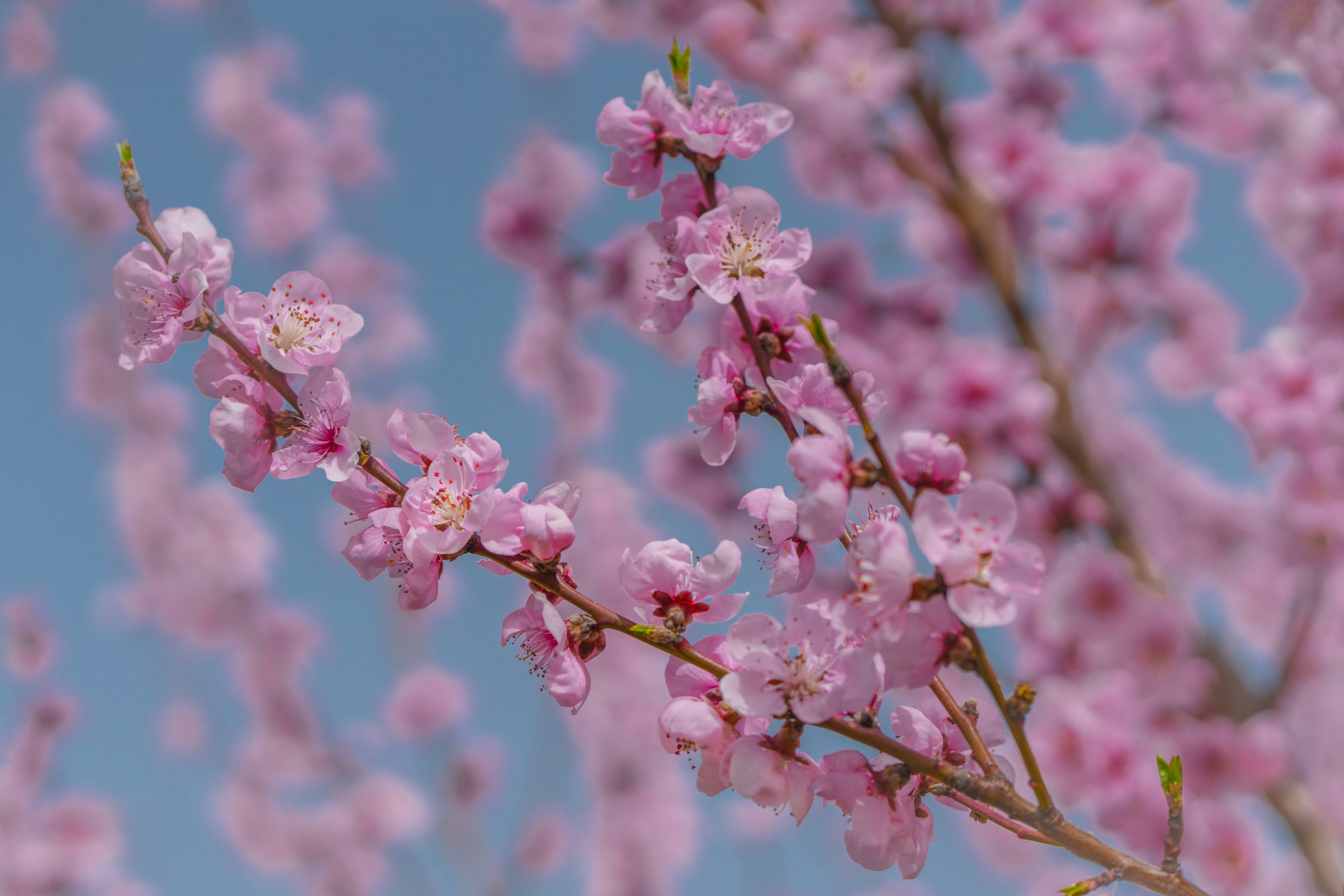 Photo by winstontjia