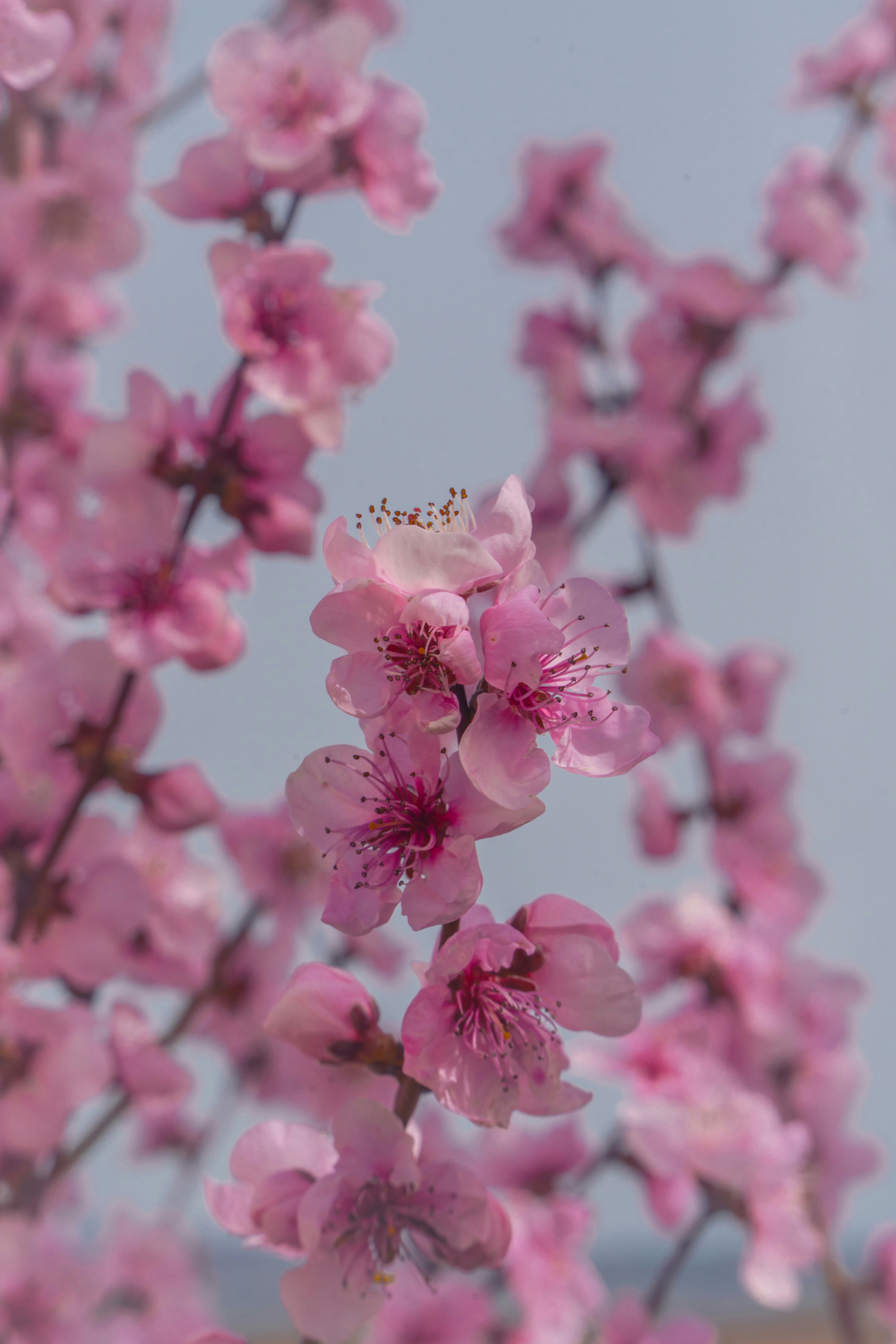 Photo by winstontjia