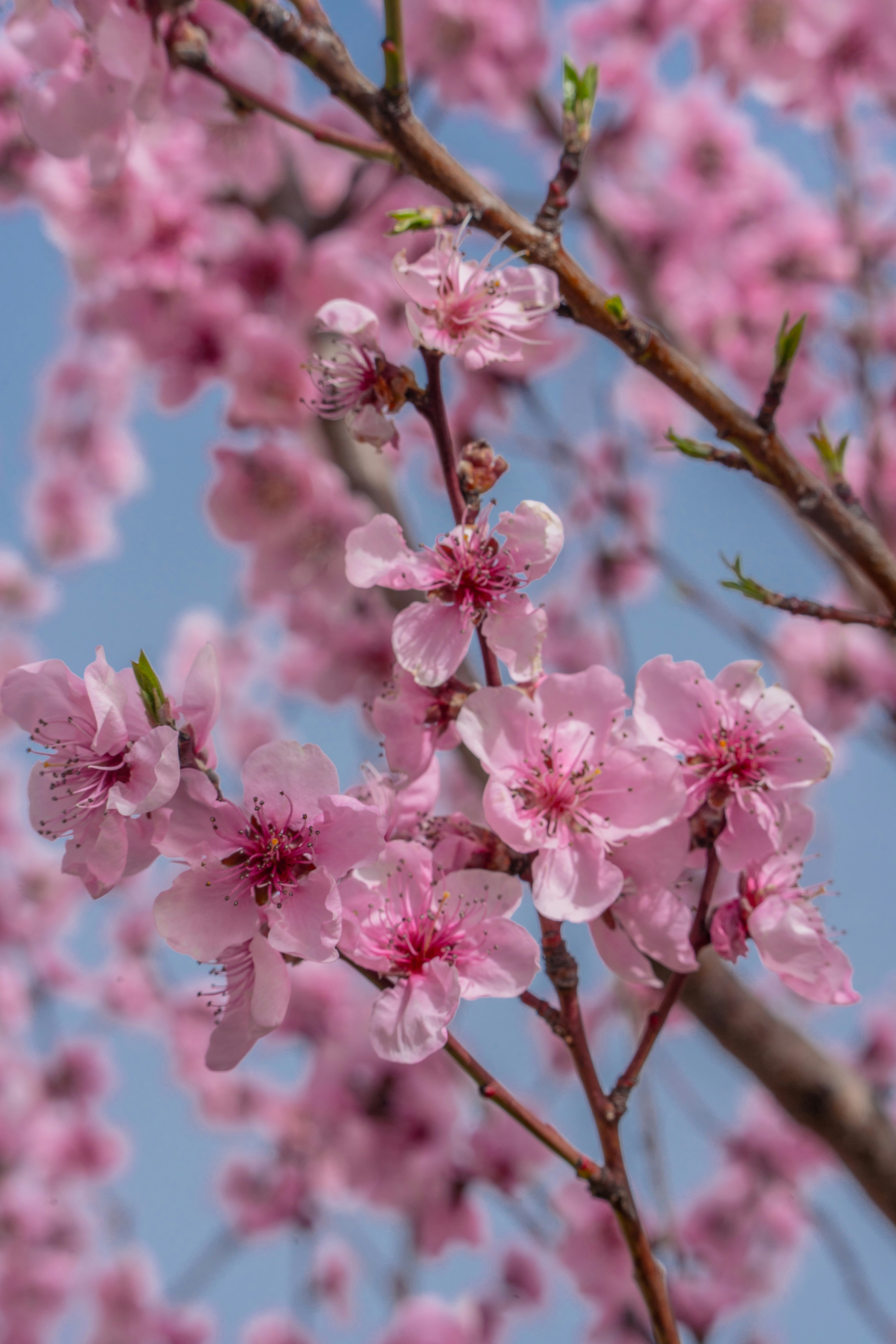 Photo by winstontjia