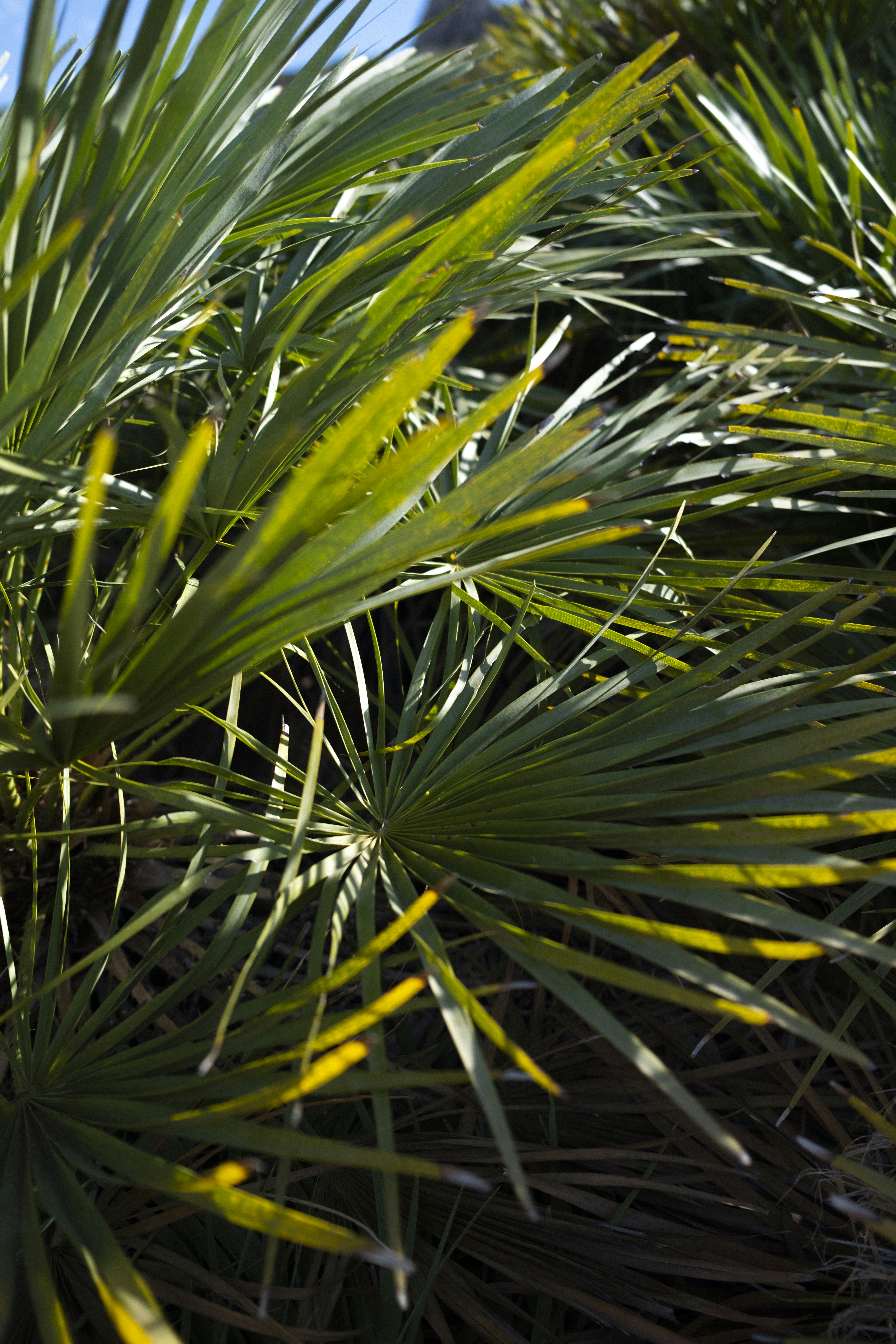 Photo by tomjrobinson