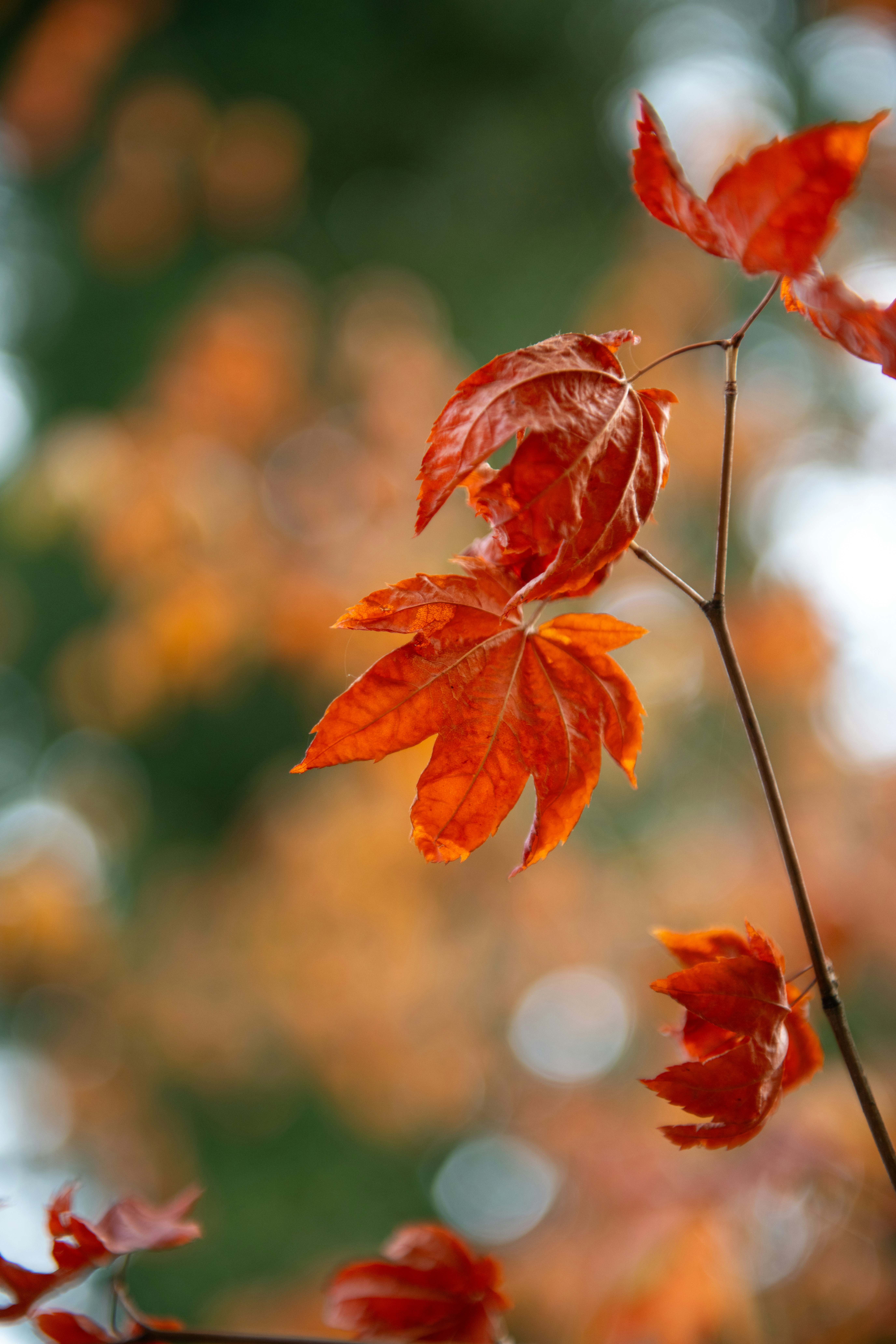 Photo by hlandkammer