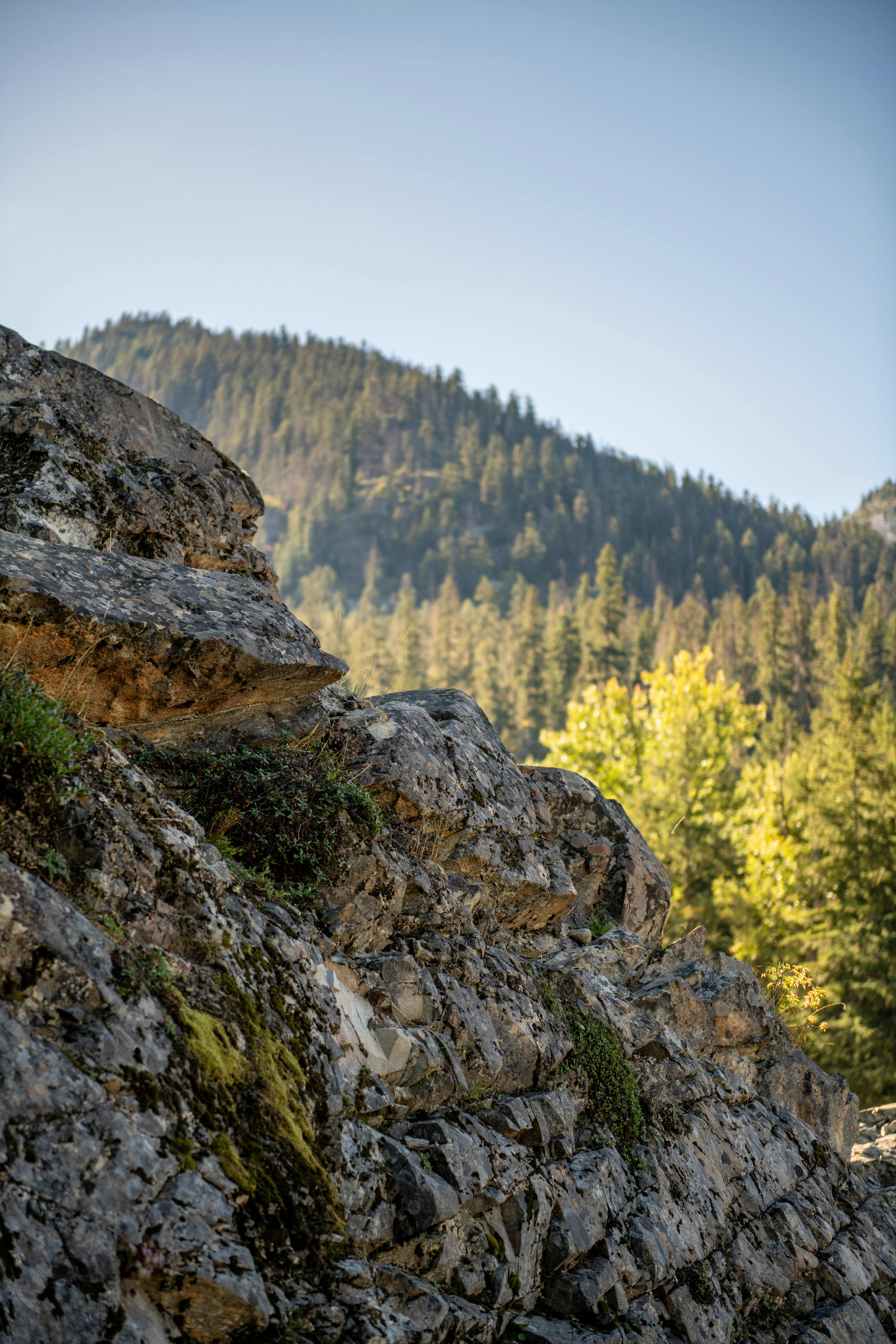 Photo by hlandkammer