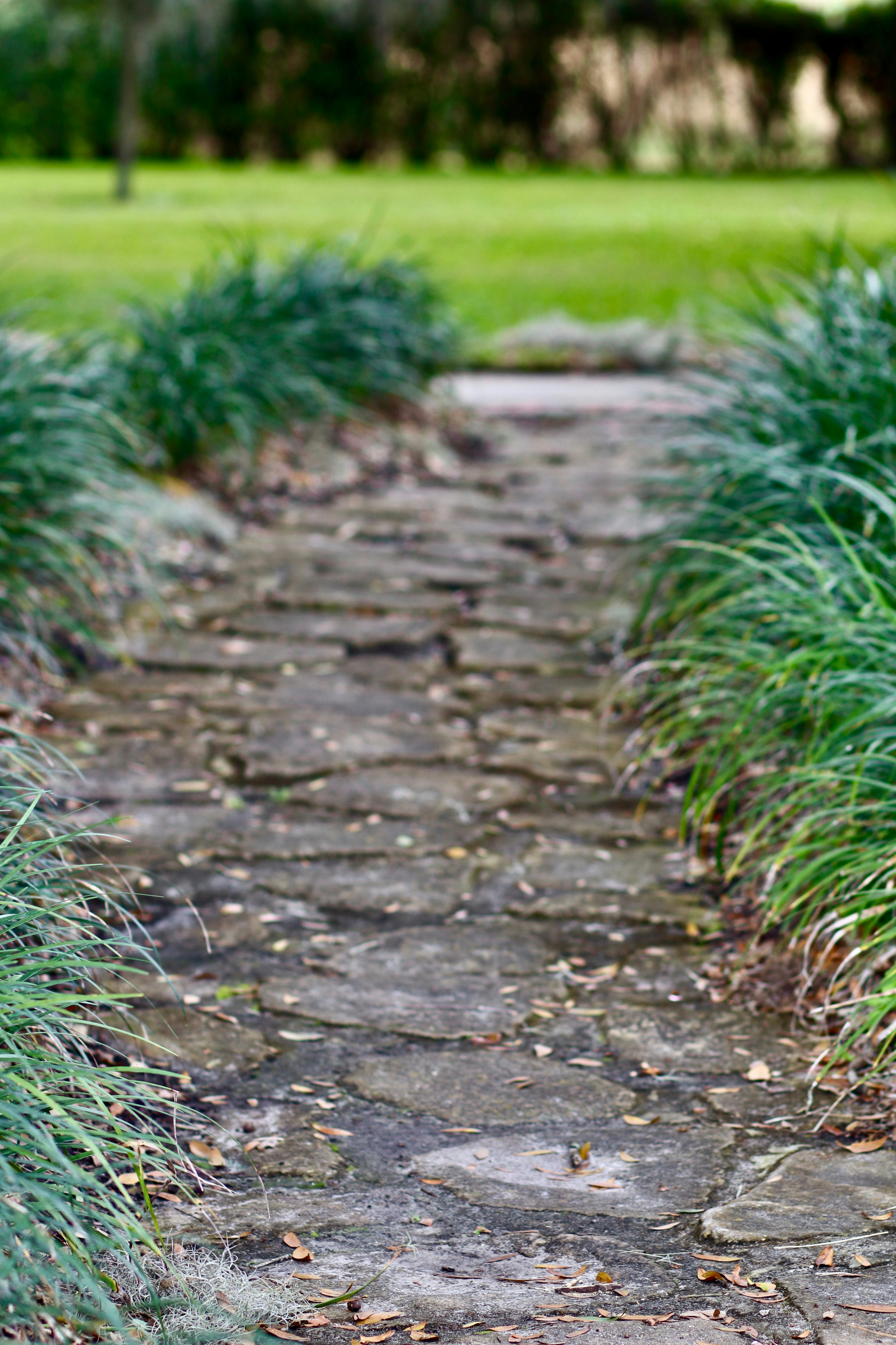 Photo by missylynnarts