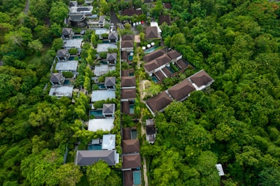 A bird's eye view of a village surrounded by trees