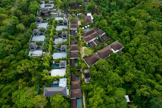 A bird's eye view of a village surrounded by trees