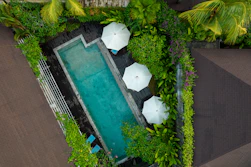 An aerial view of a pool surrounded by greenery