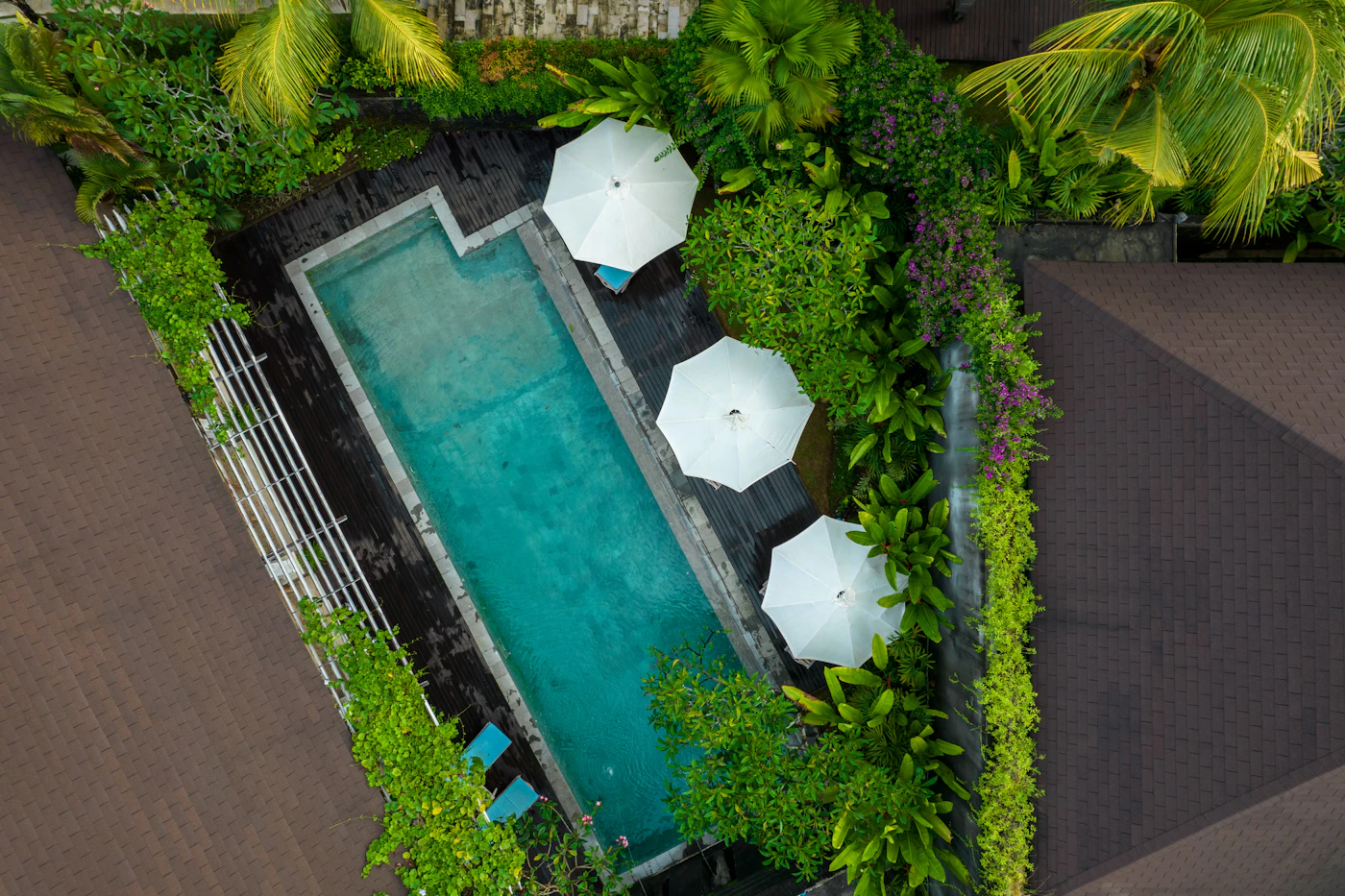 A long pool wrapped in dense tropical greenery, seen from above