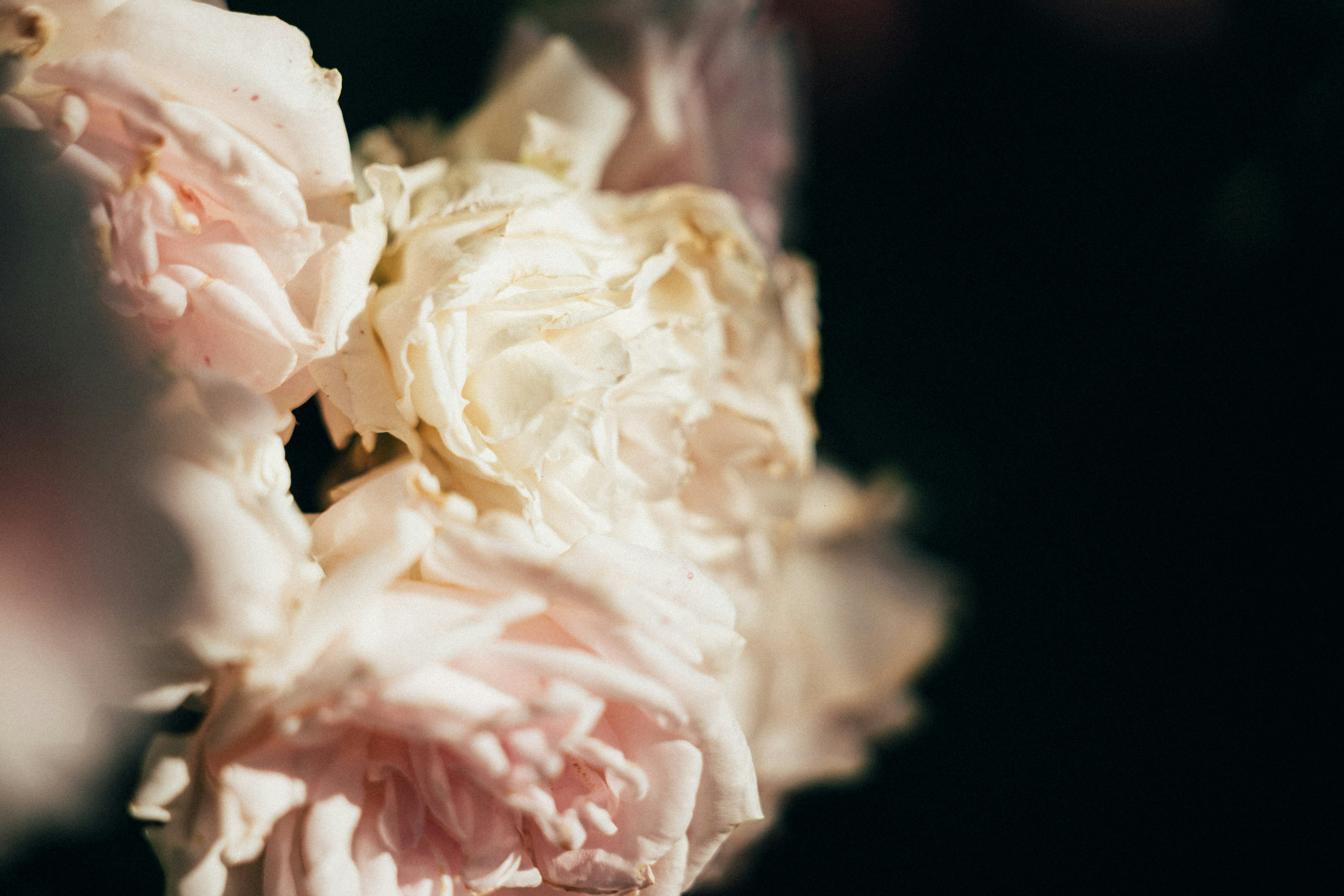 Photo by tsuyoshikozu