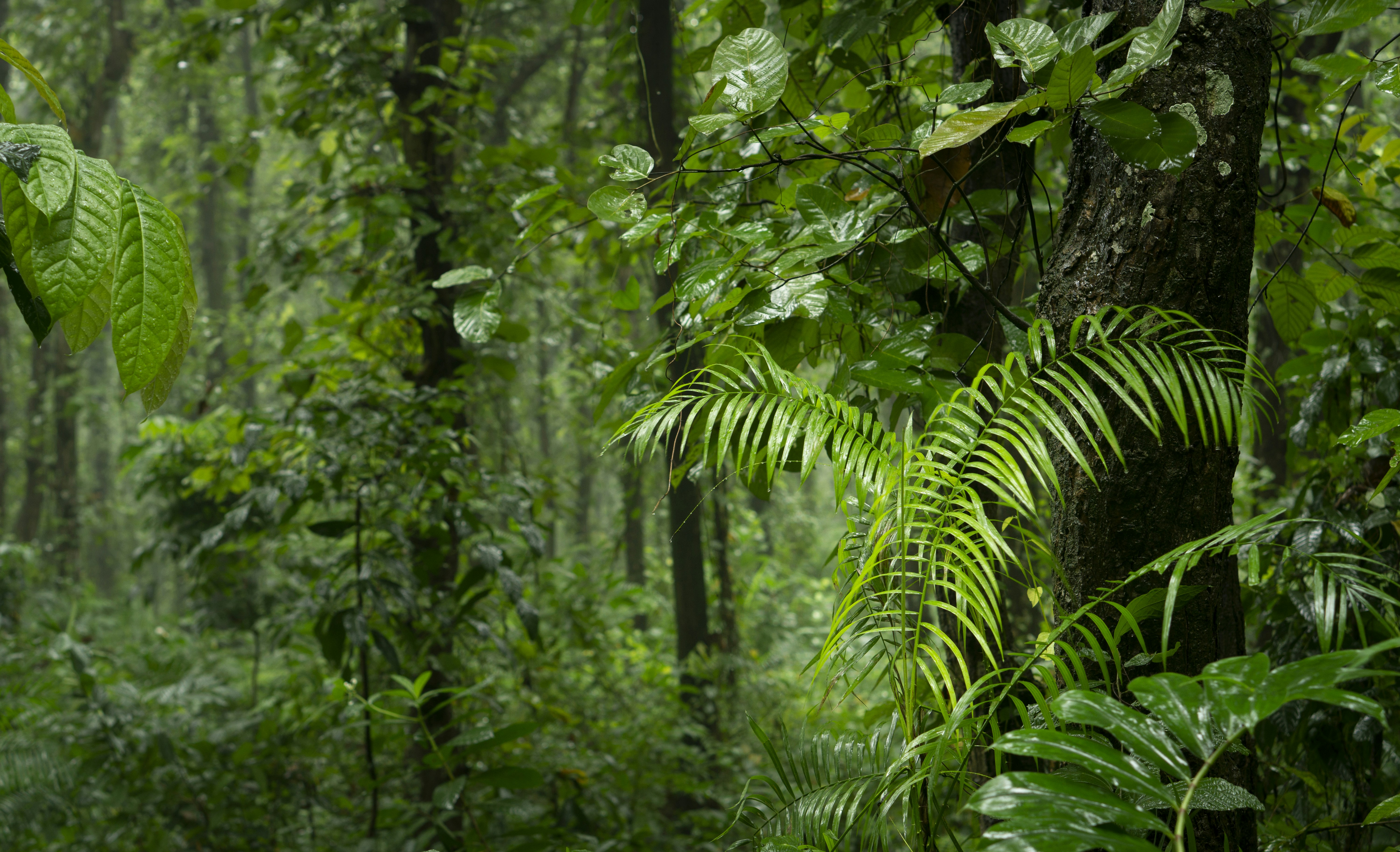 Photo by iammottakin