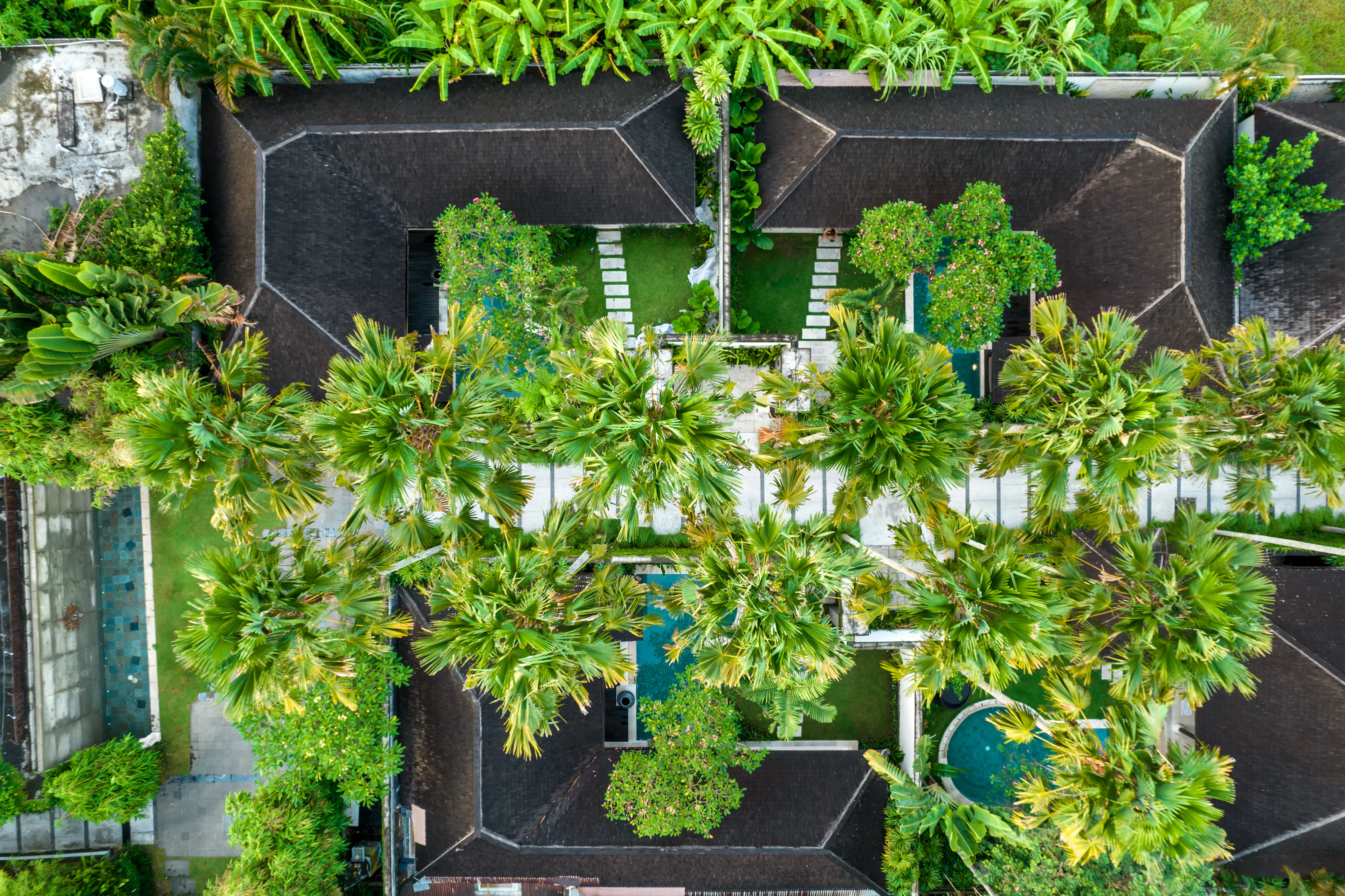 Aerial view of a villa surrounded by trees